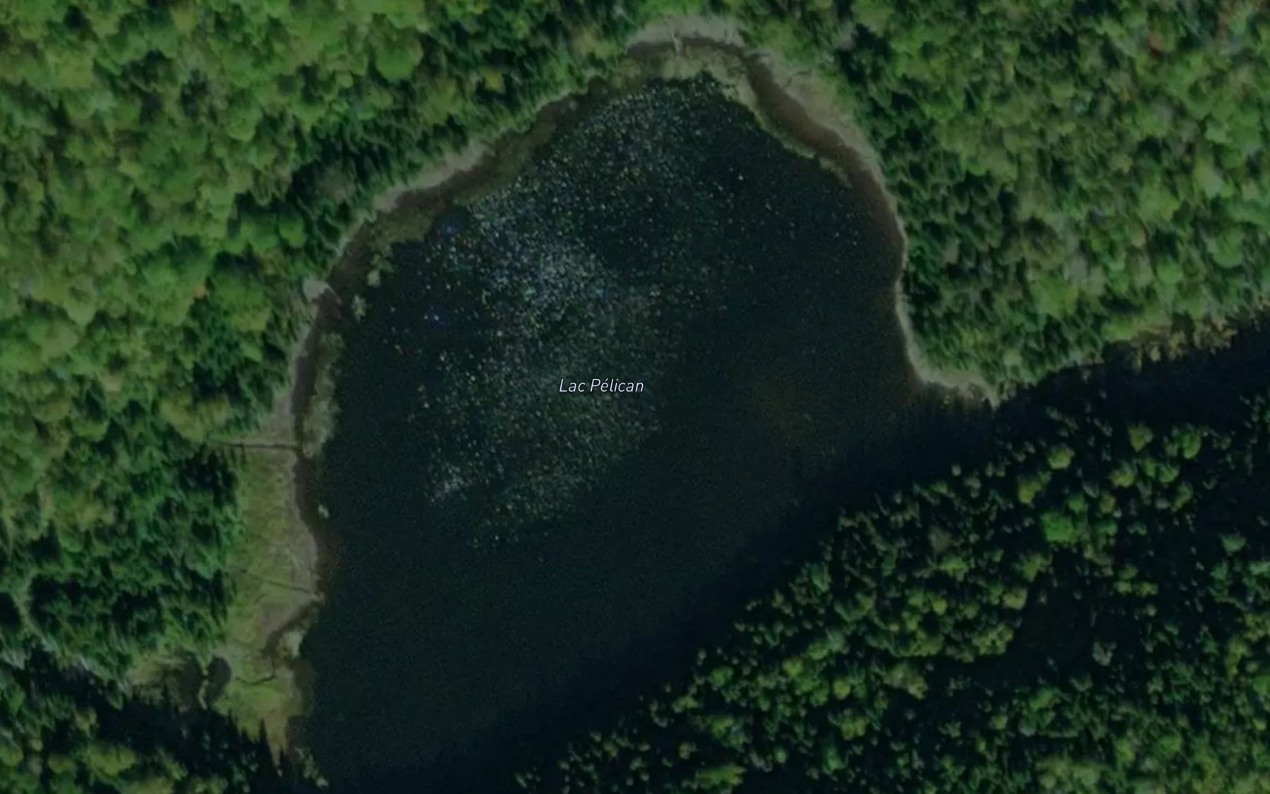 Satellite map of the Lac Pelican