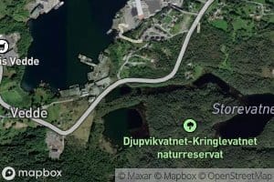 Veddevatnet