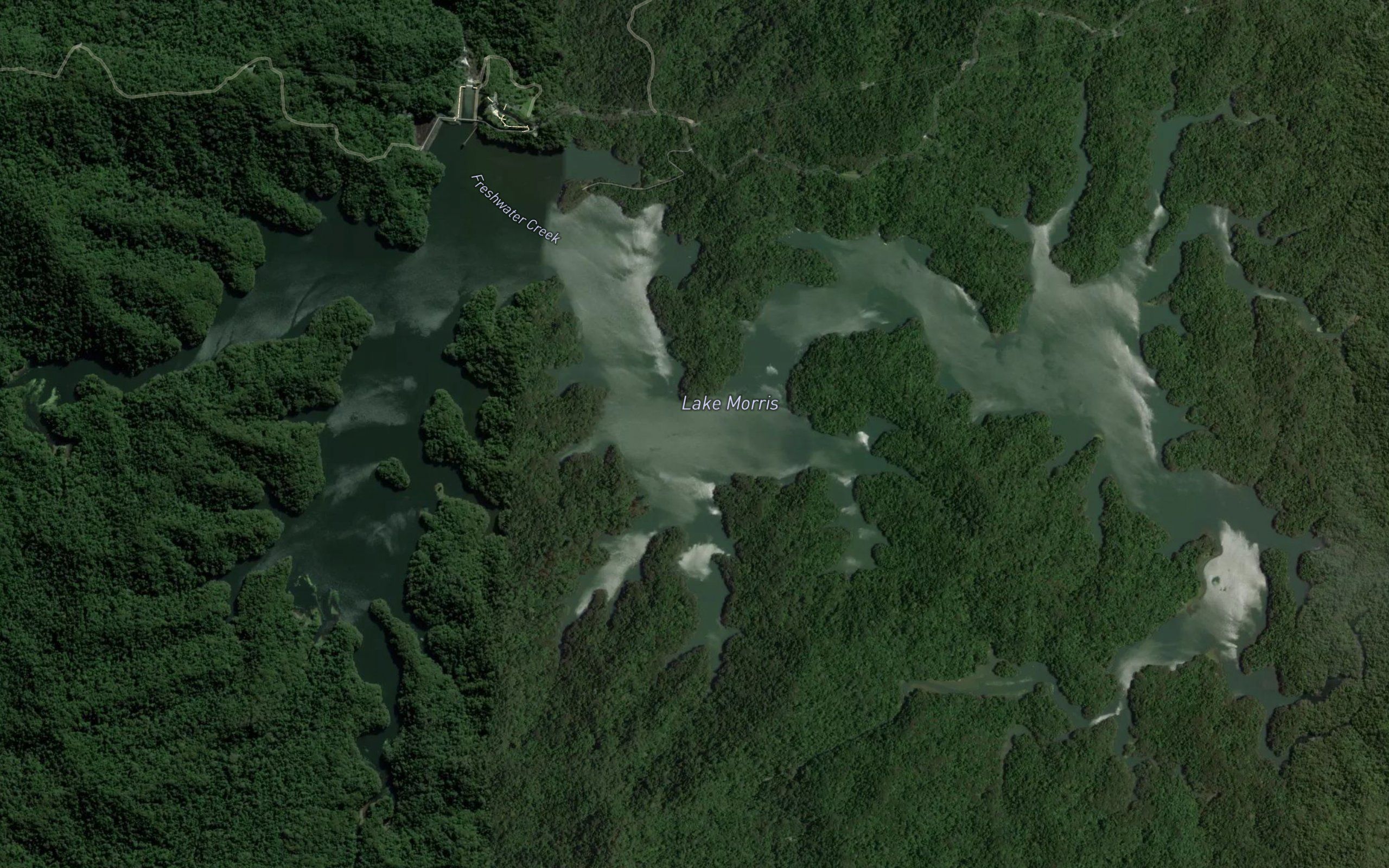 Lake Morris