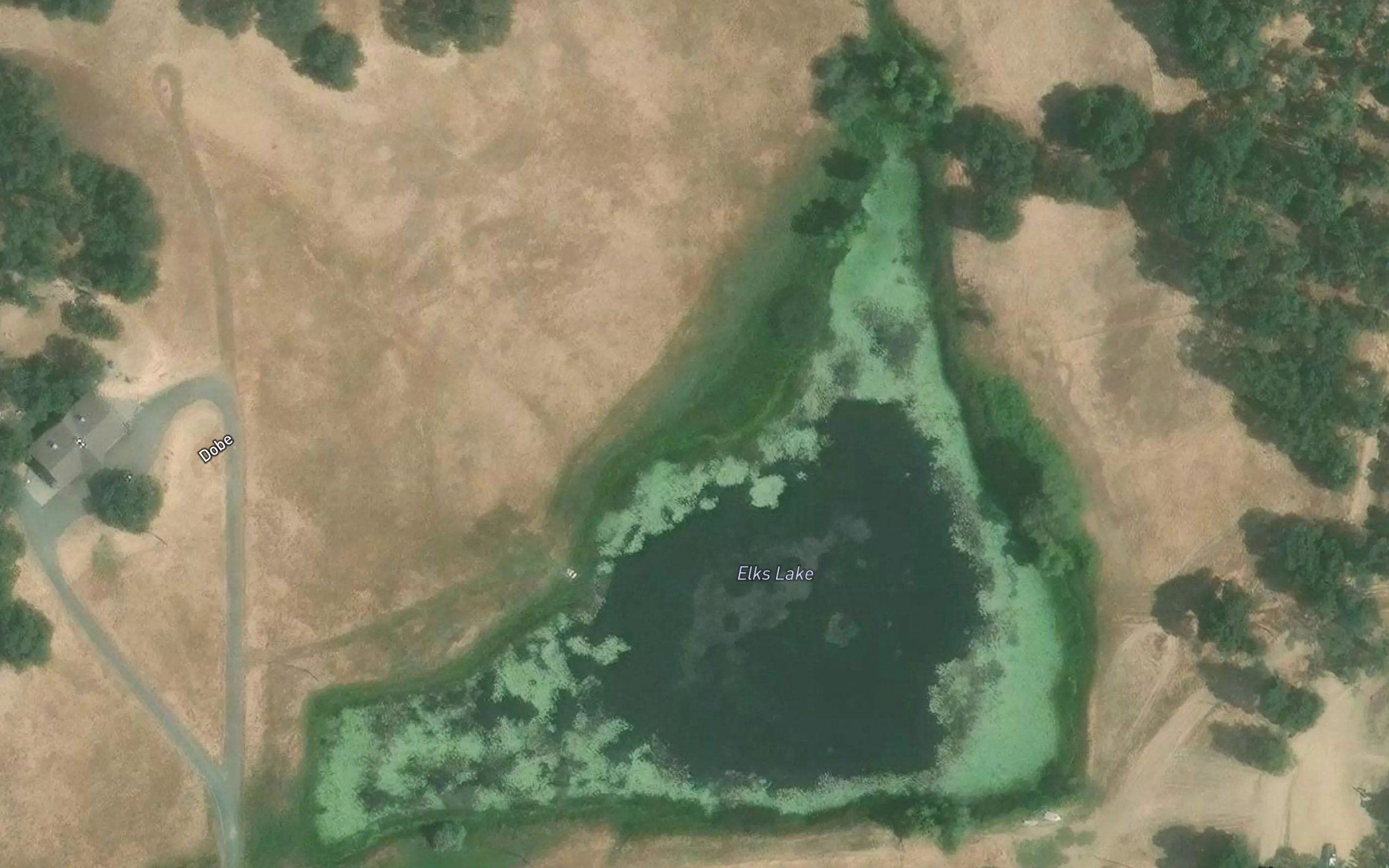 Elks Lake