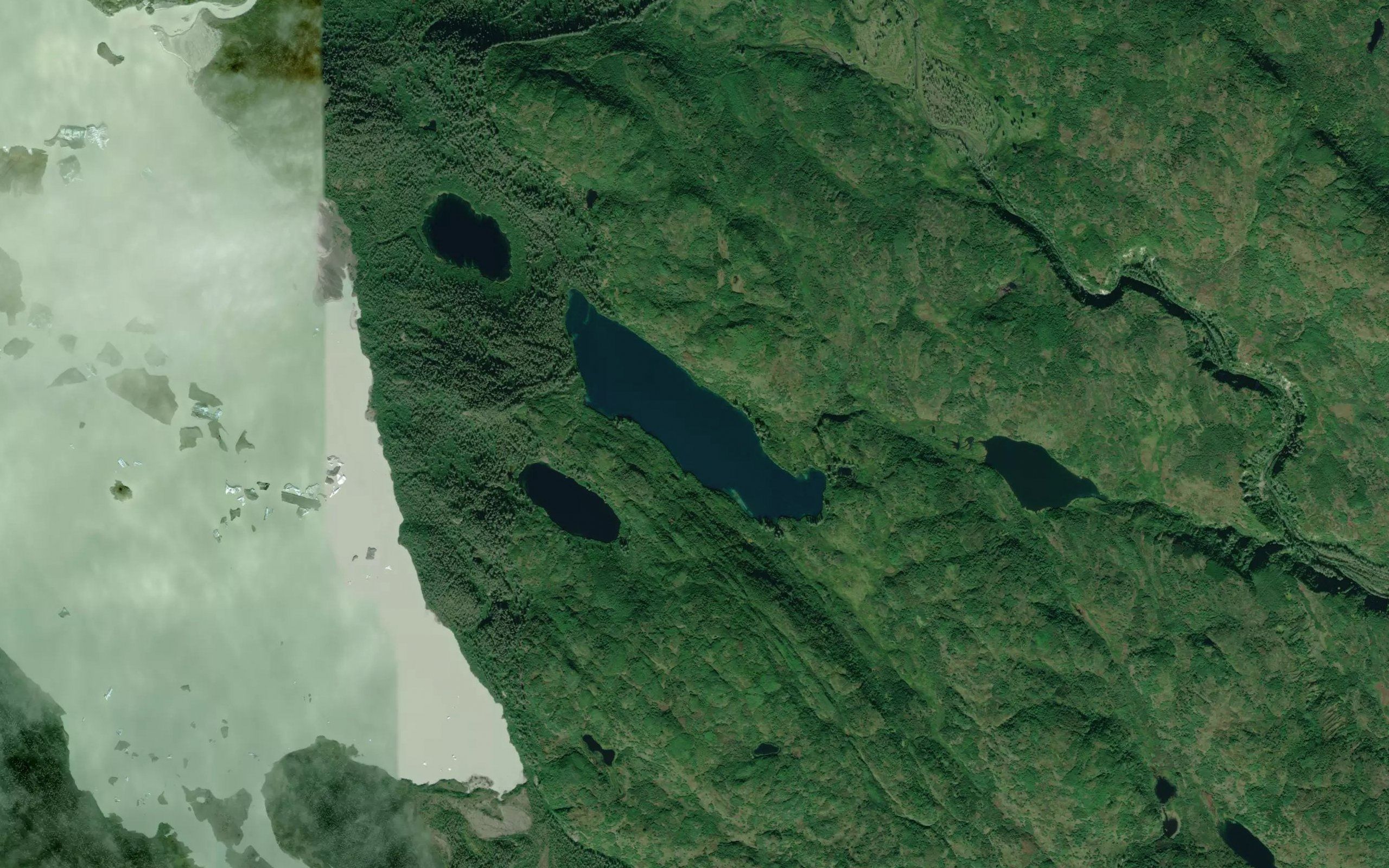 Firewood Lake