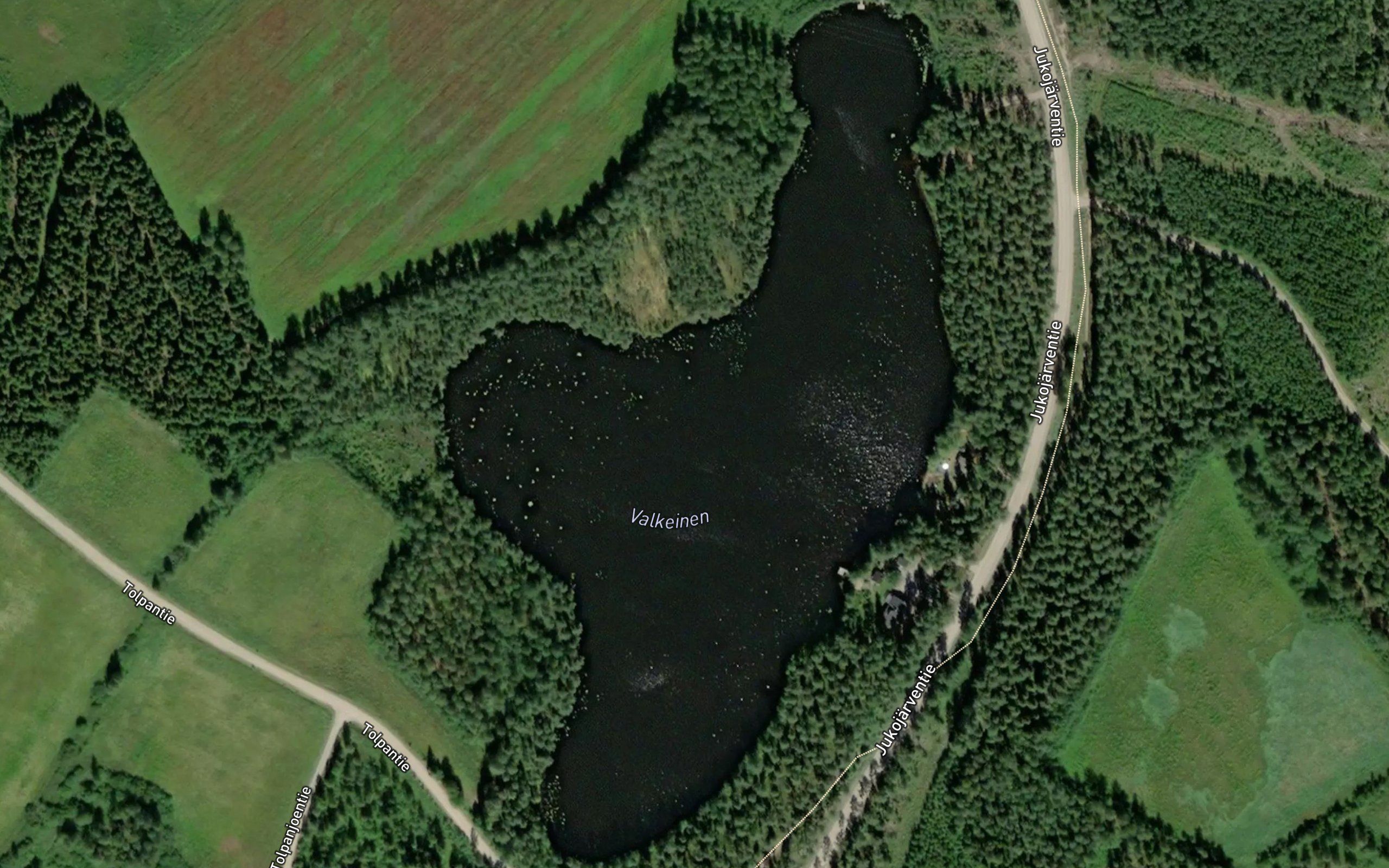 Valkeinen
