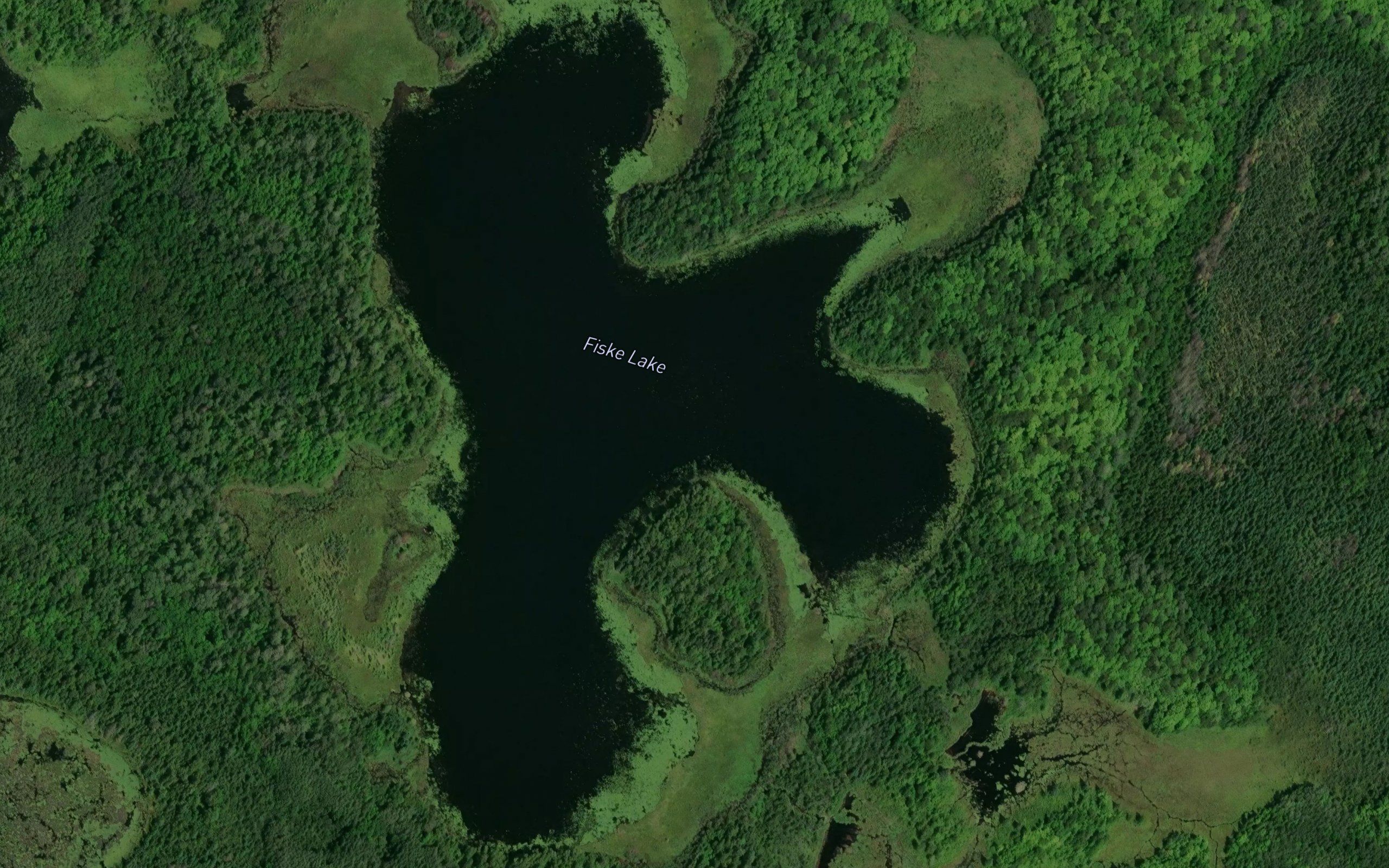 Fiske Lake