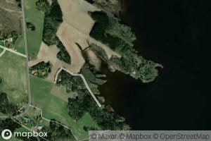 Tammivuorenlahti