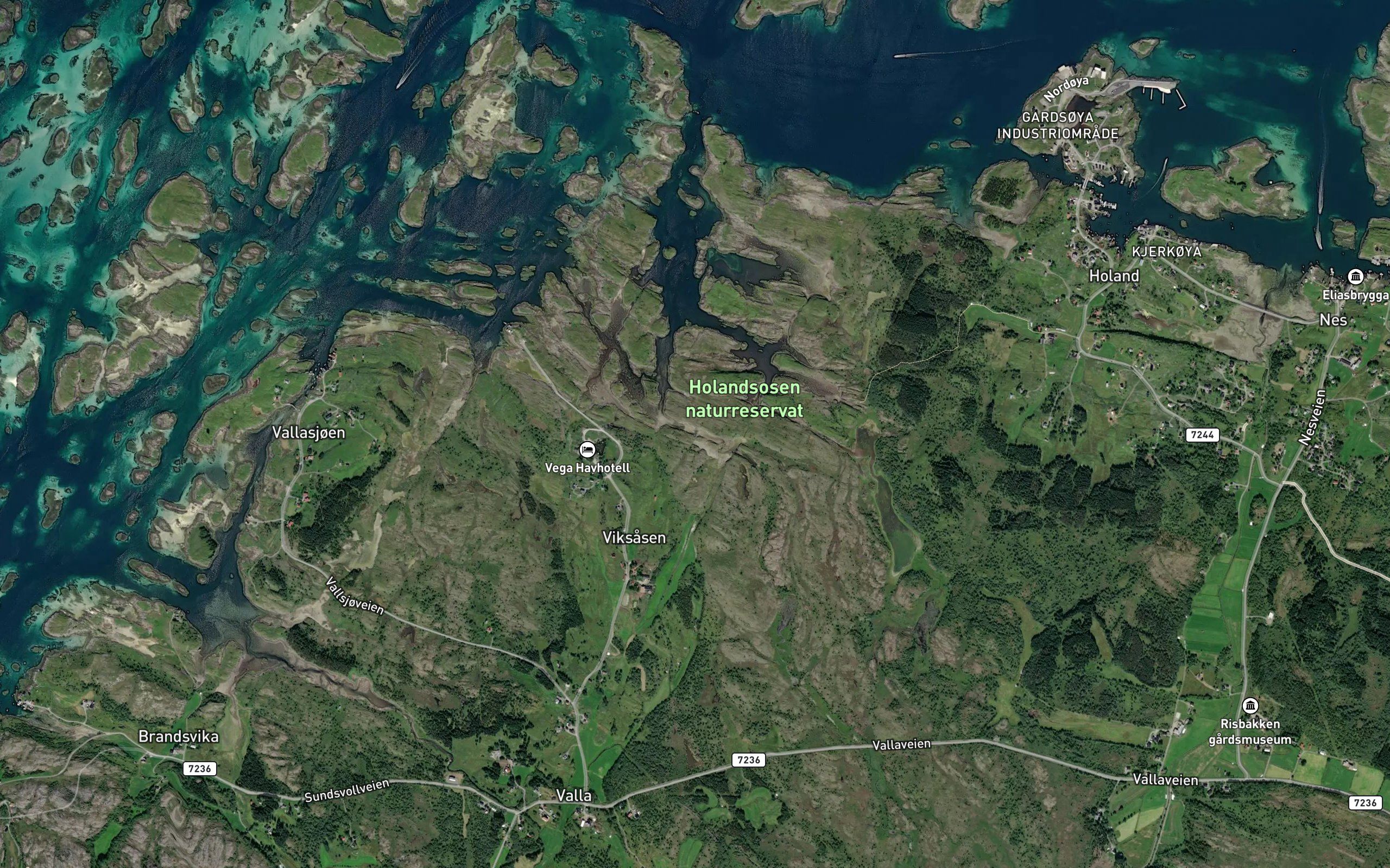 Gronvika