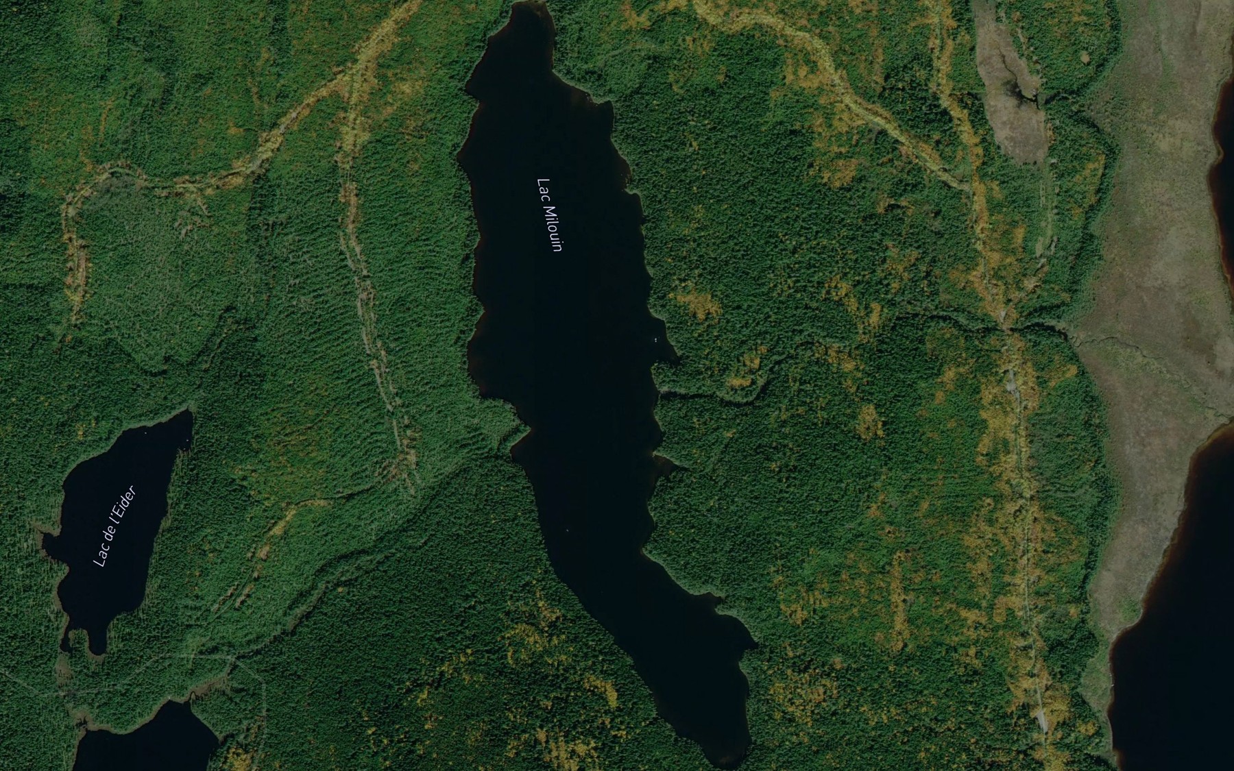 Satellite map of the Lac Milouin