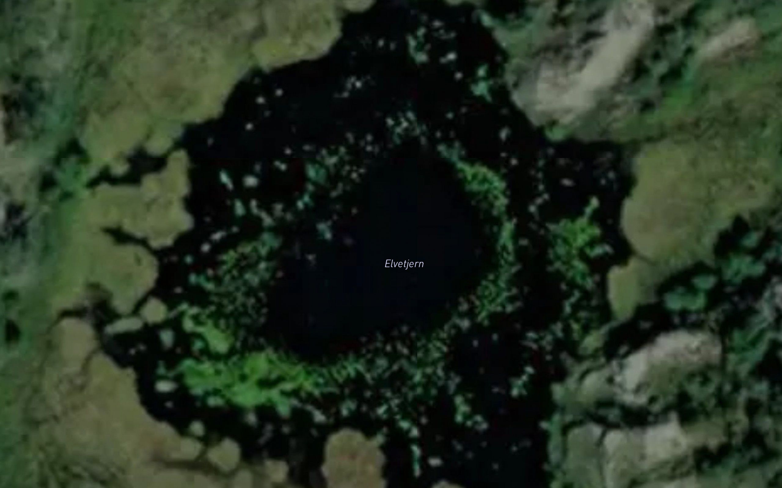 Elvetjonn