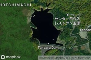 Tamahara Ko