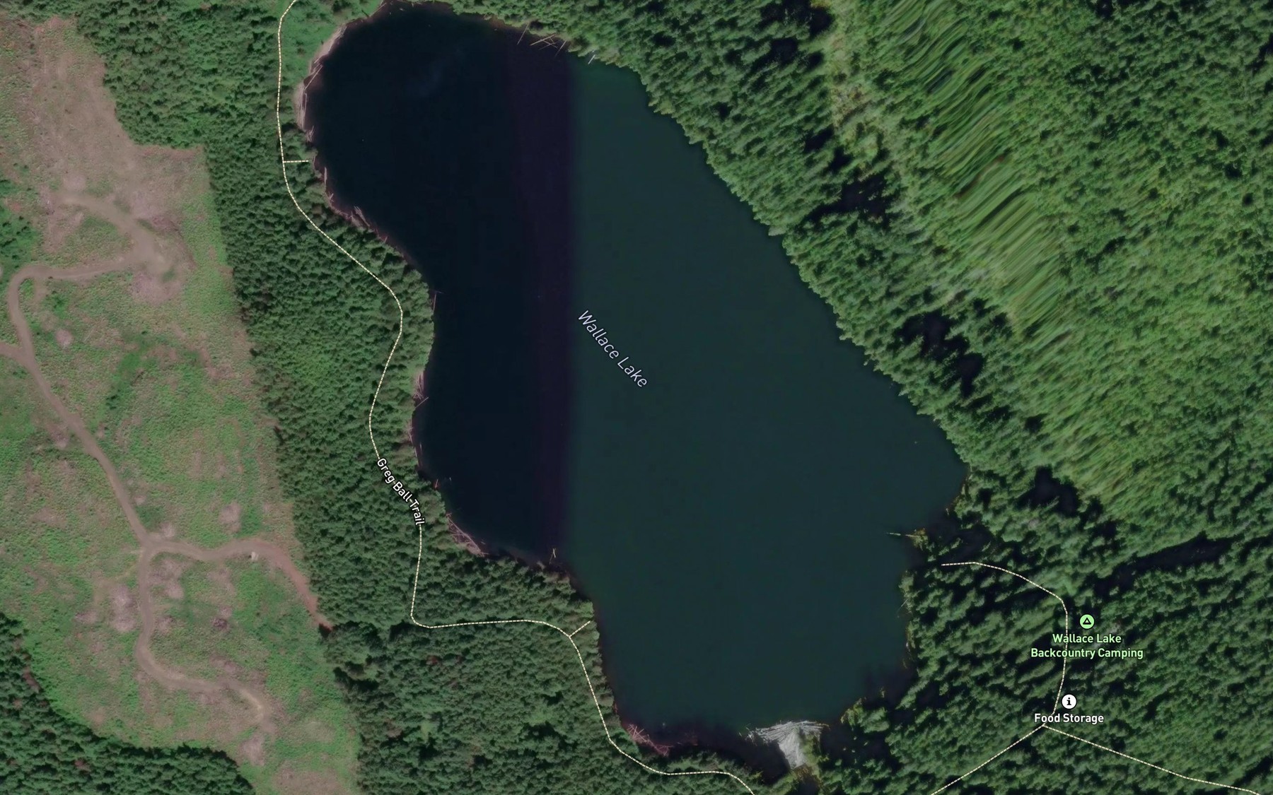 Satellite map of the Wallace Lake