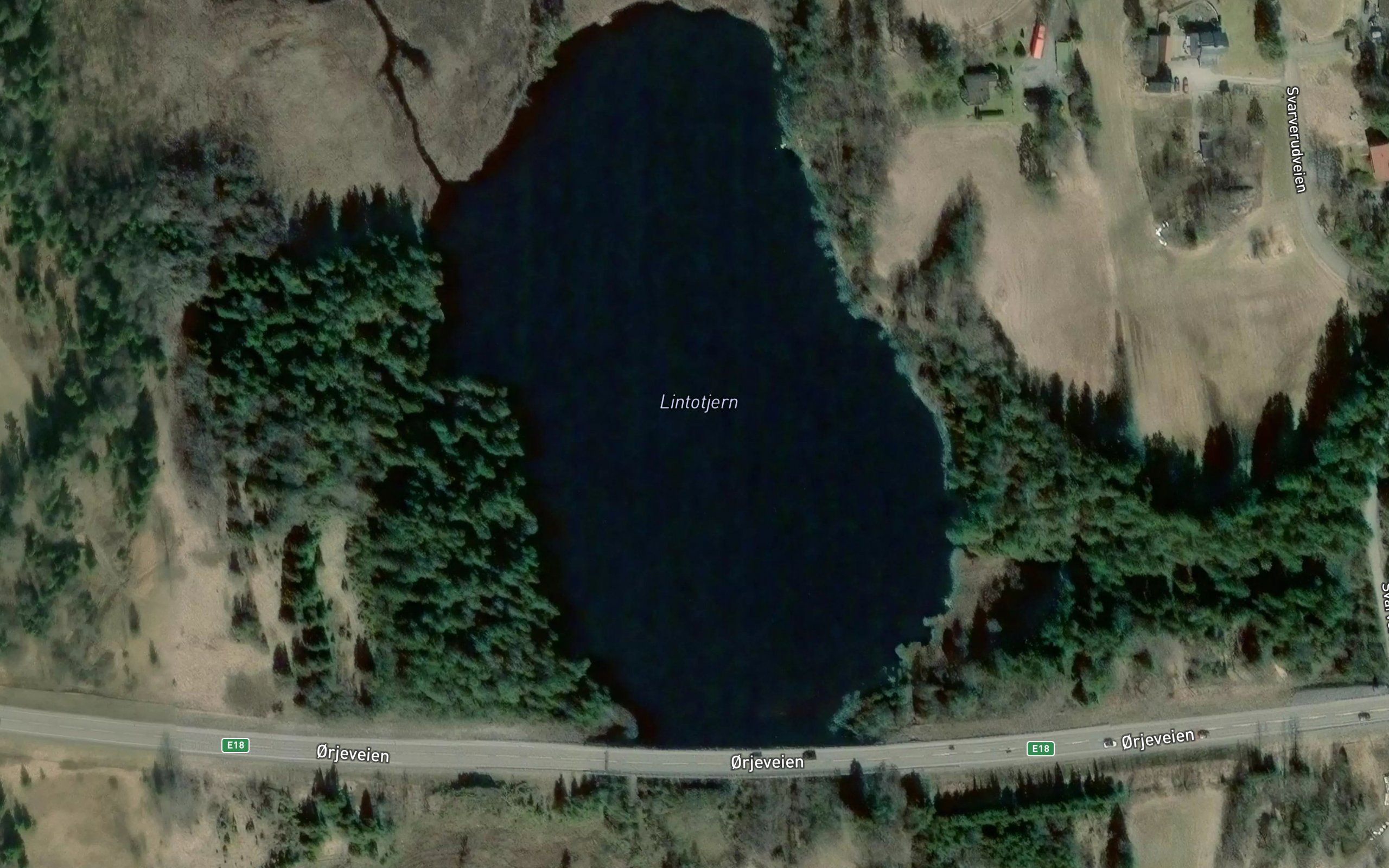 Lintotjern