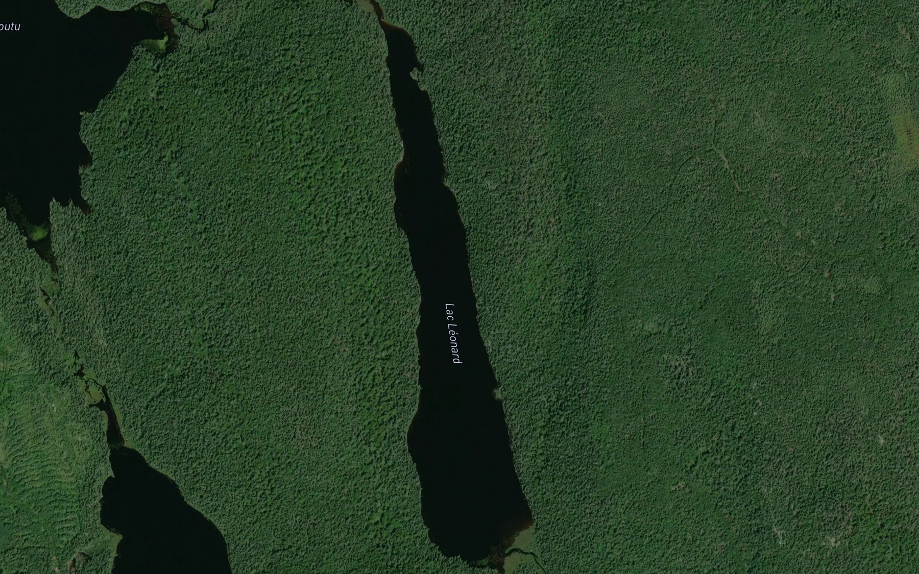 Satellite map of the Lac Leonard
