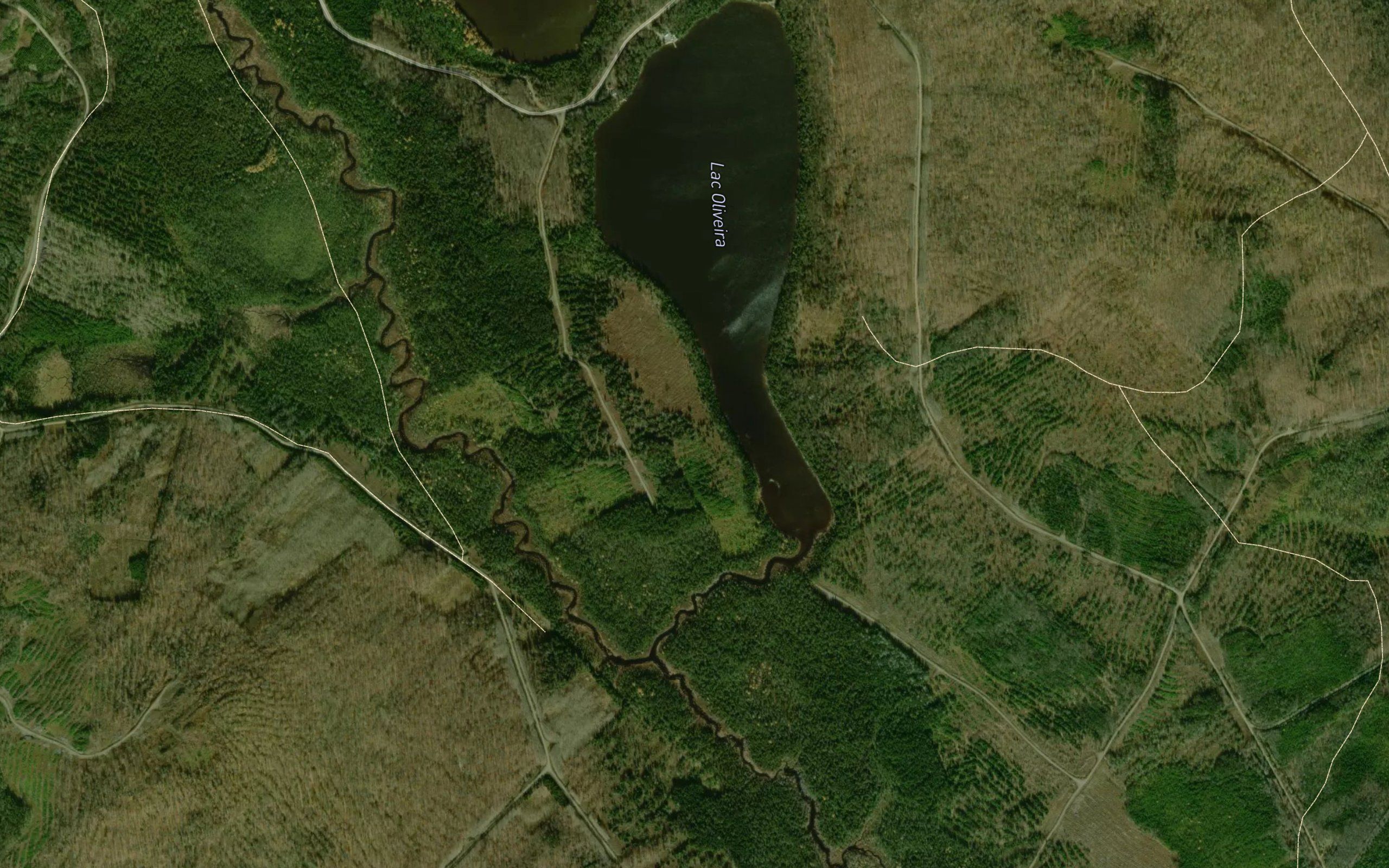 Lac Oliveira