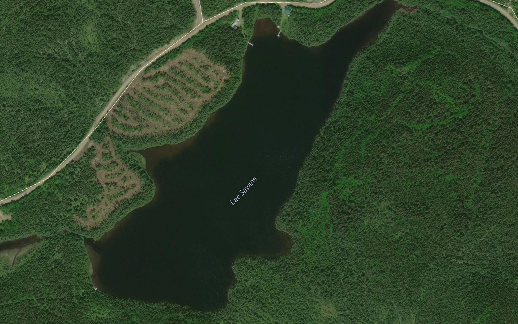 Satellite map of the Lac Savane