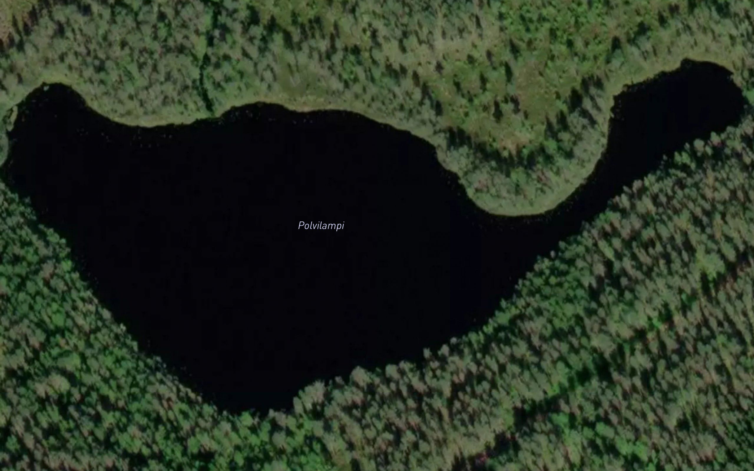 Polvilampi