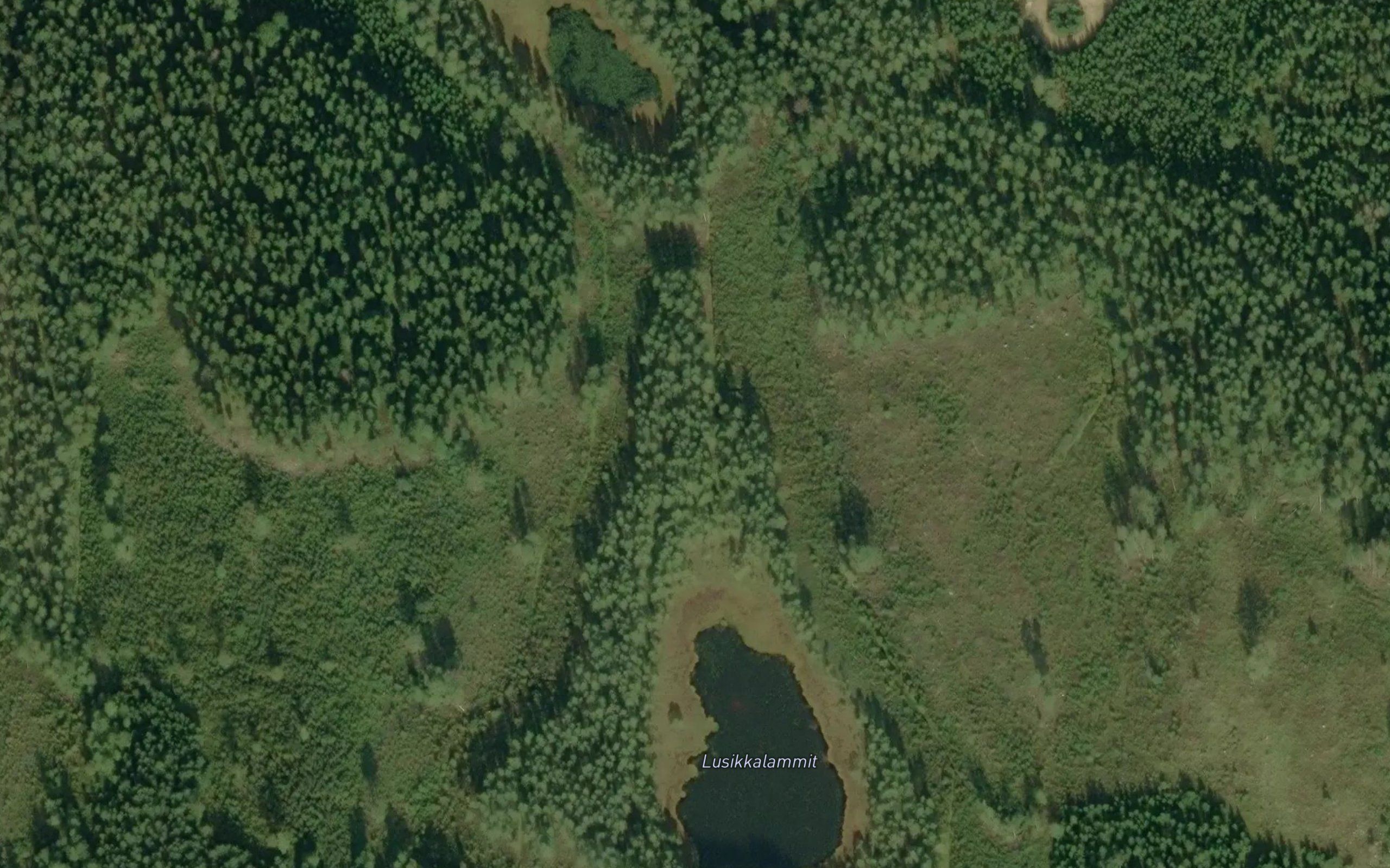 Lusikkalammit