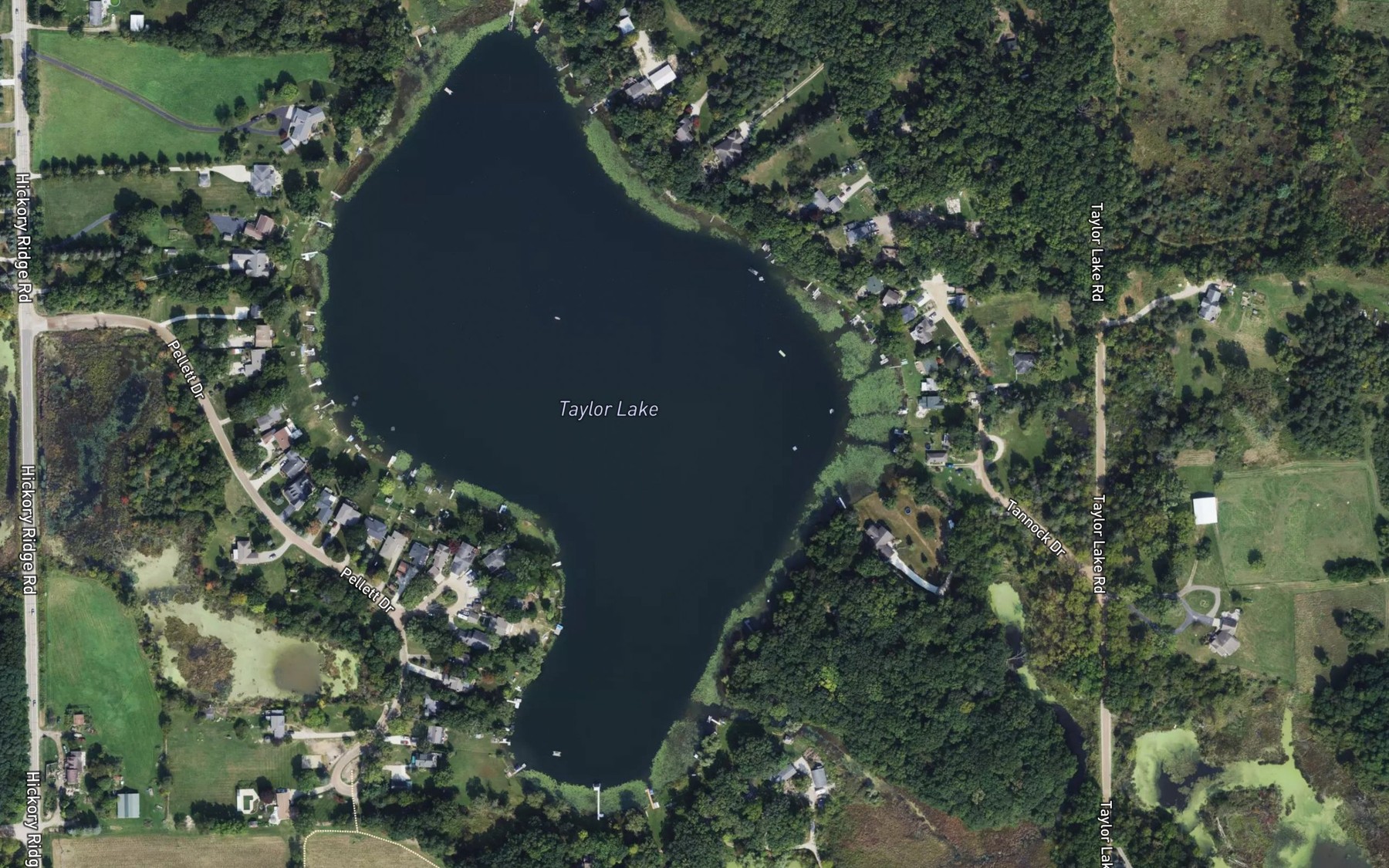 Satellite map of the Taylor Lake