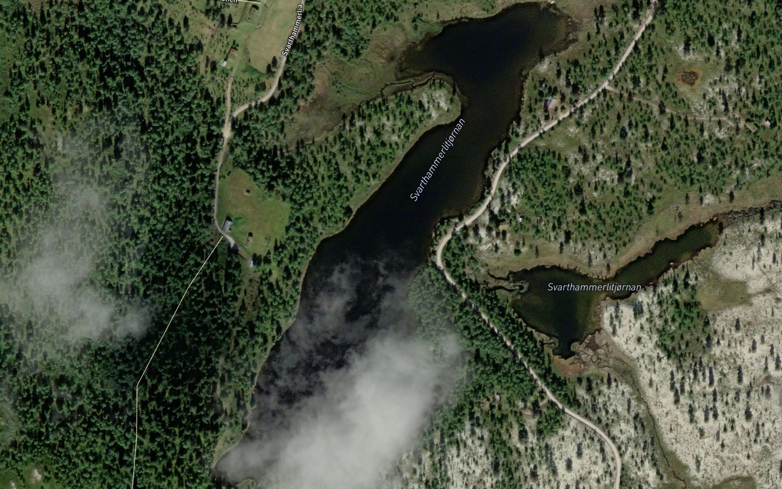 Svarthammerlitjornan