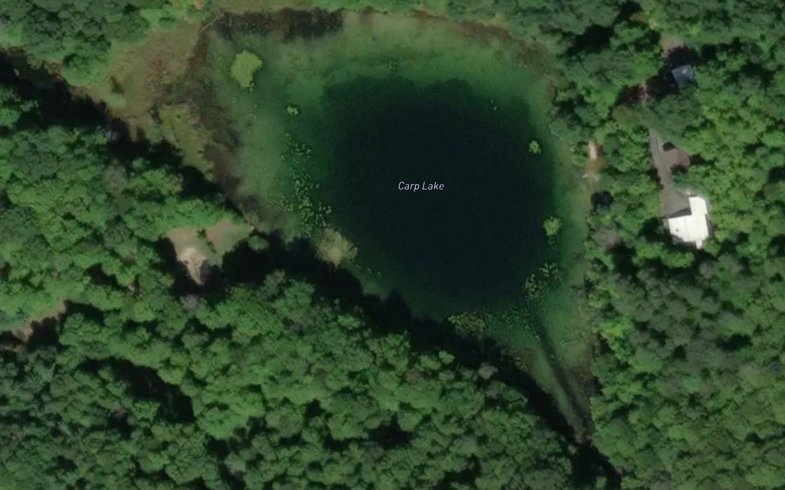 Carp Lake