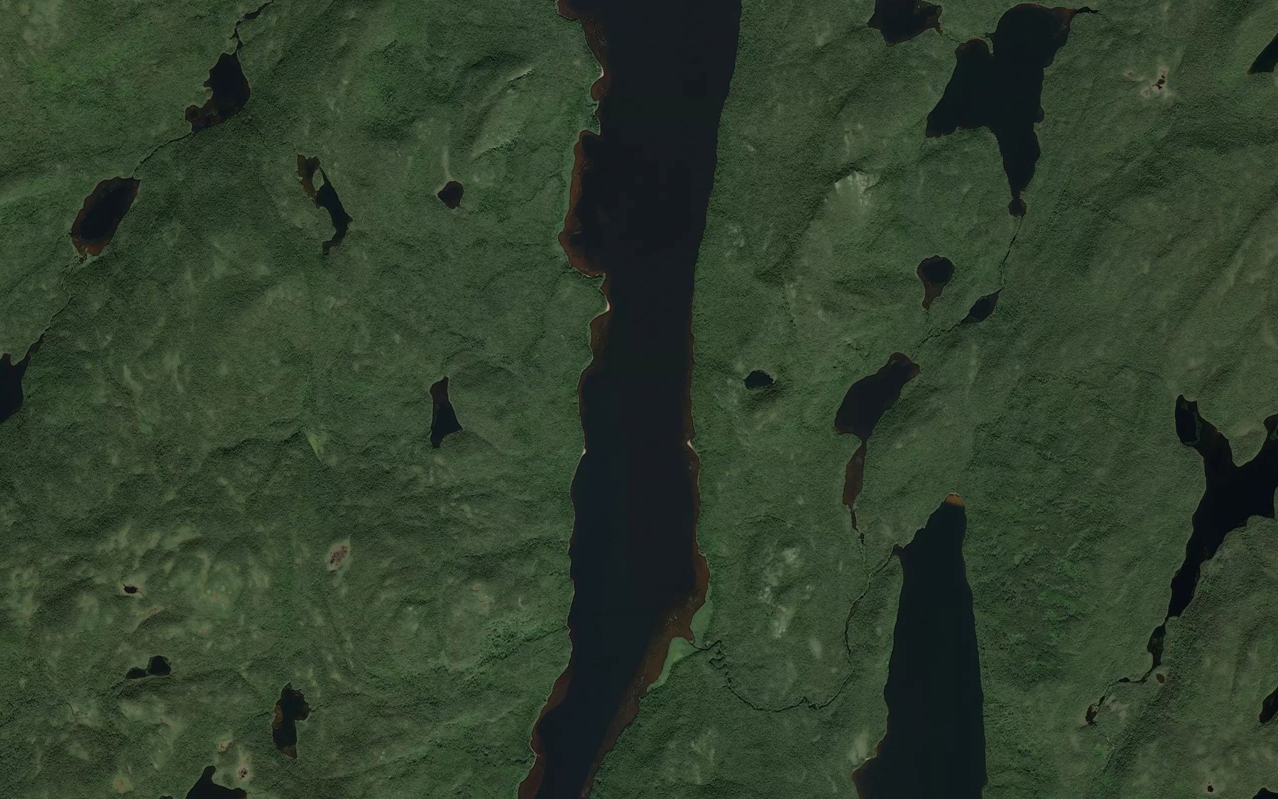 Satellite map of the Lac Jamyn