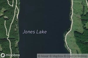 Wahleach Lake