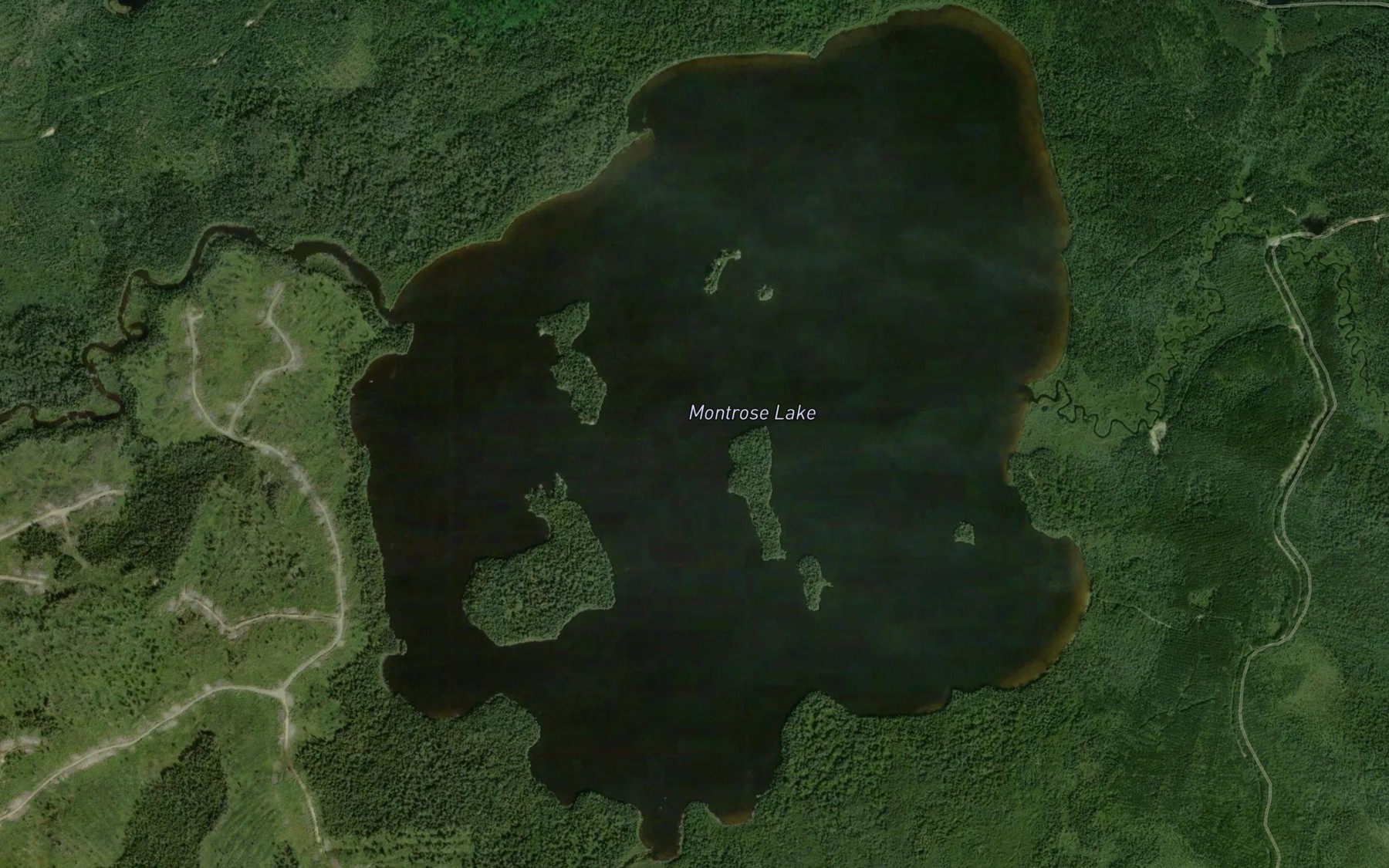 Satellite map of the Montrose Lake