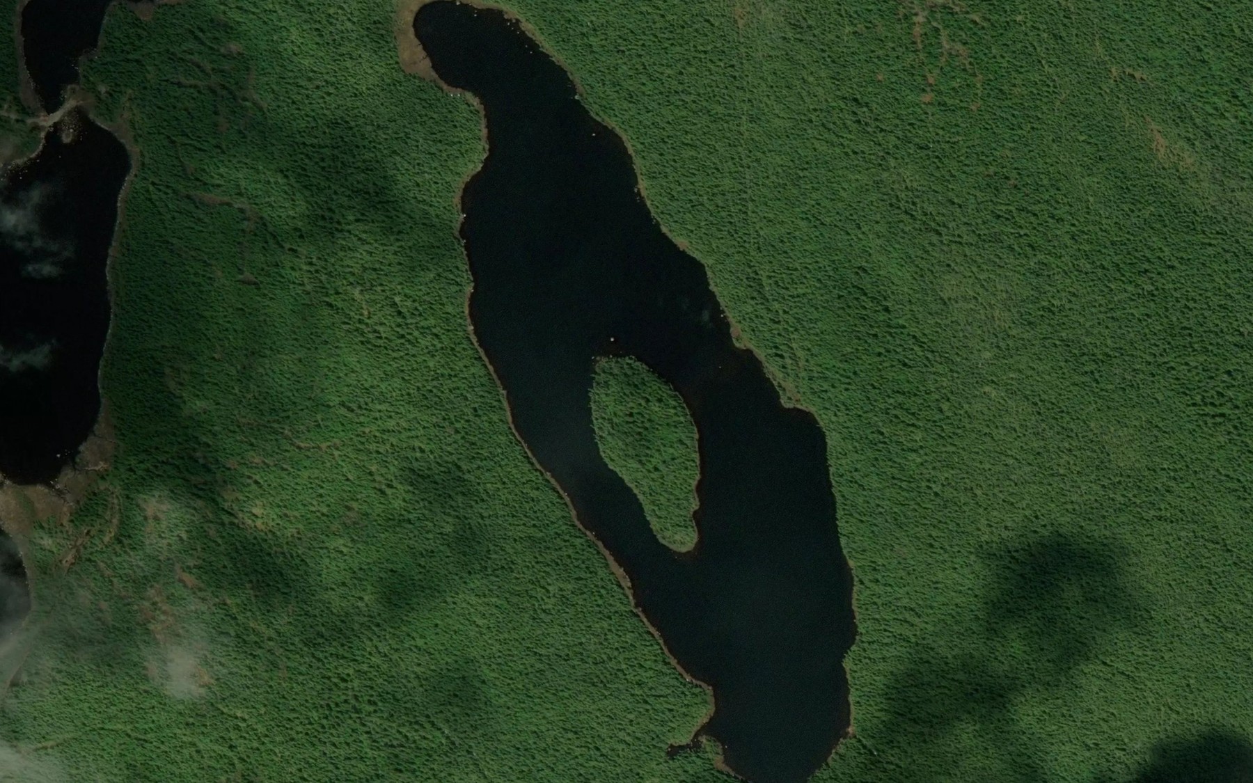 Satellite map of the Lac de l'Ile