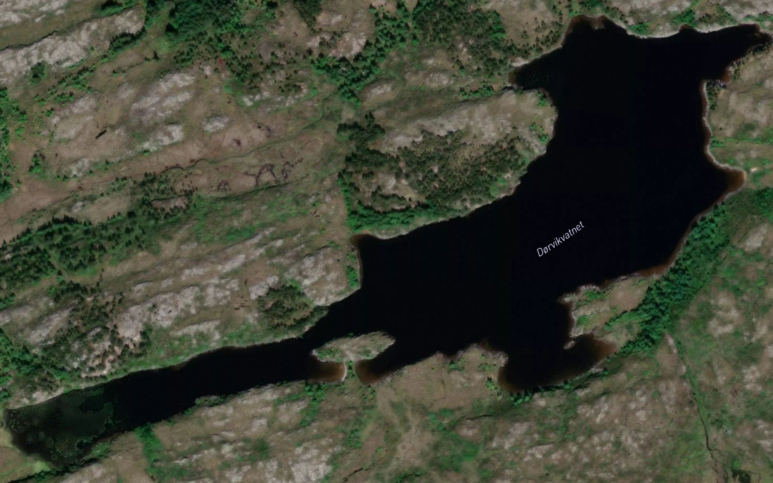 Dyrvikvatnet
