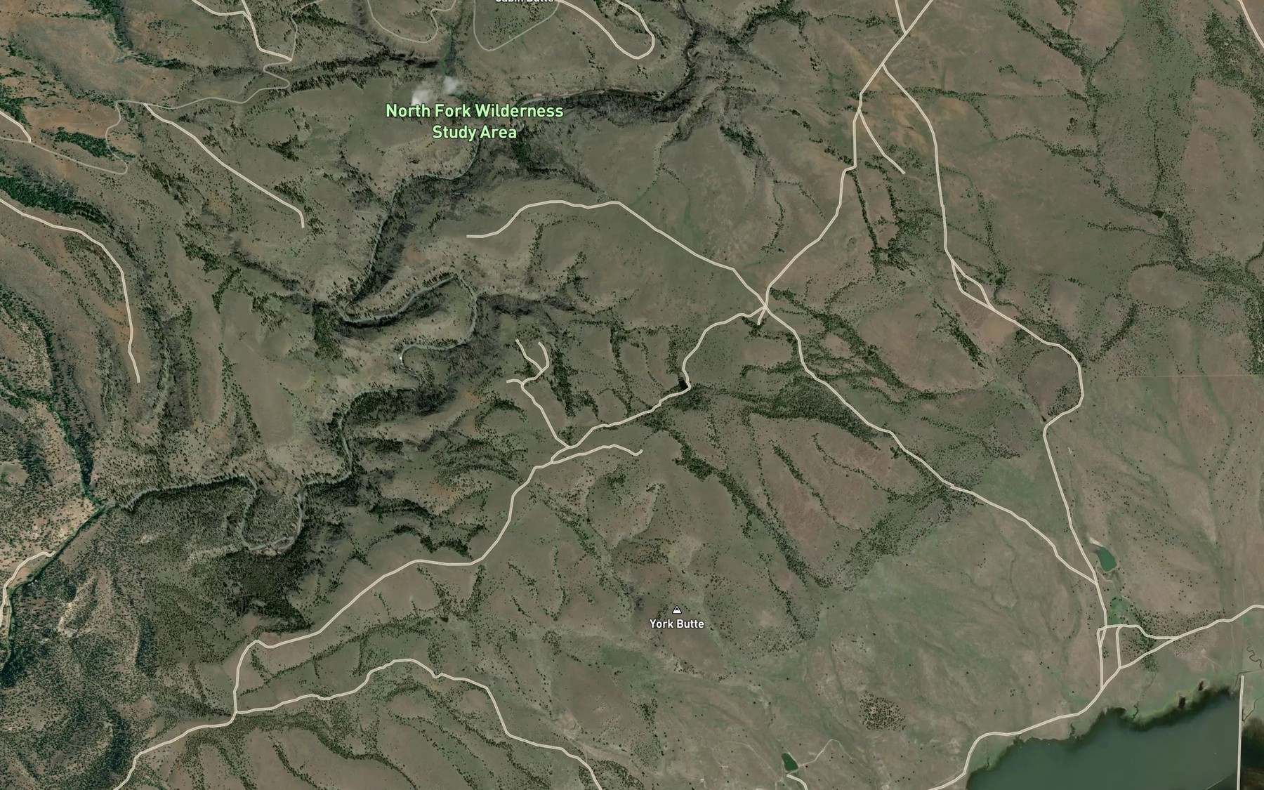 Satellite map of the Little Juniper Reservoir