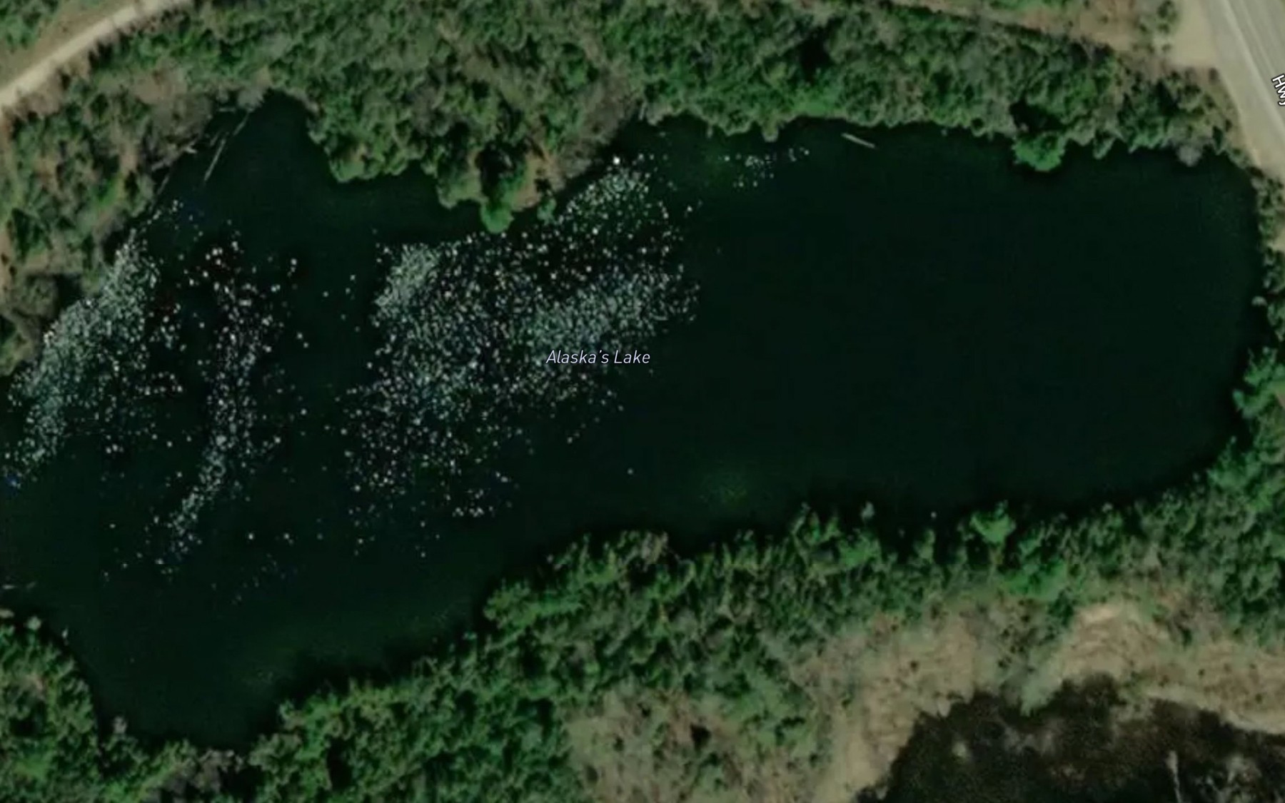 Satellite map of the Alaska's Lake