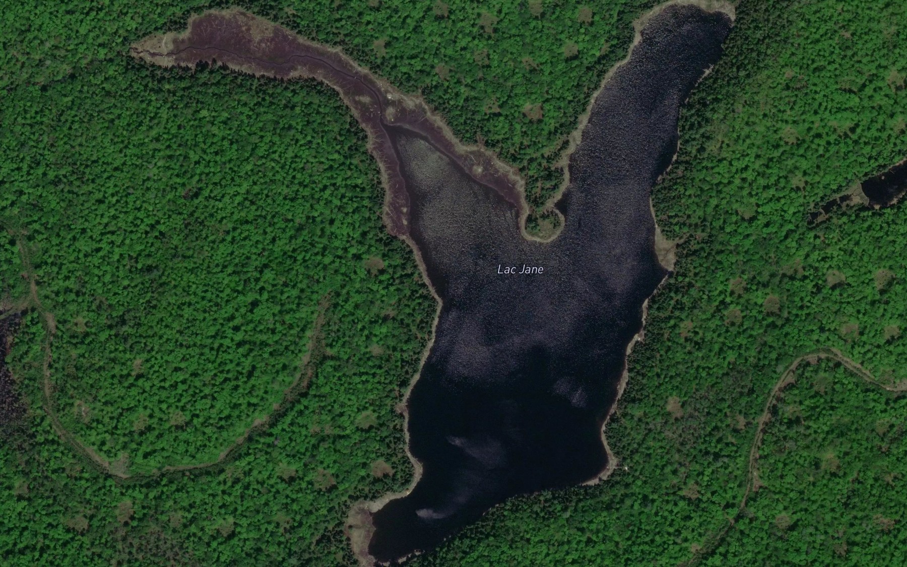 Satellite map of the Lac Jane