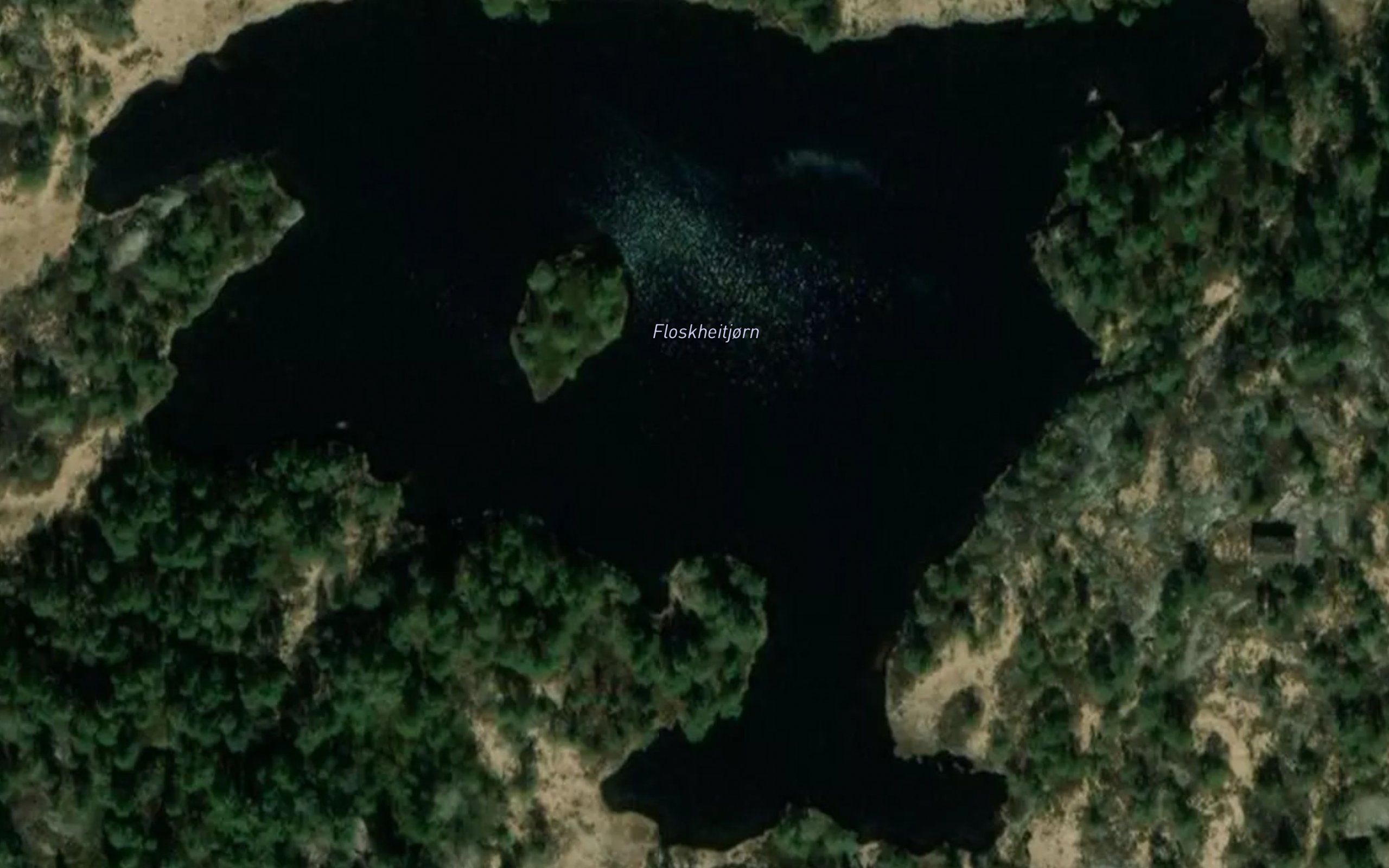 Floskheitjonn