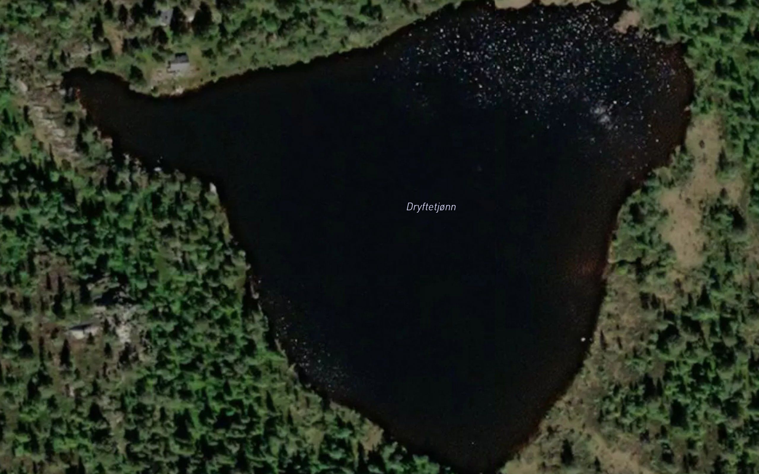 Dryftetjonn