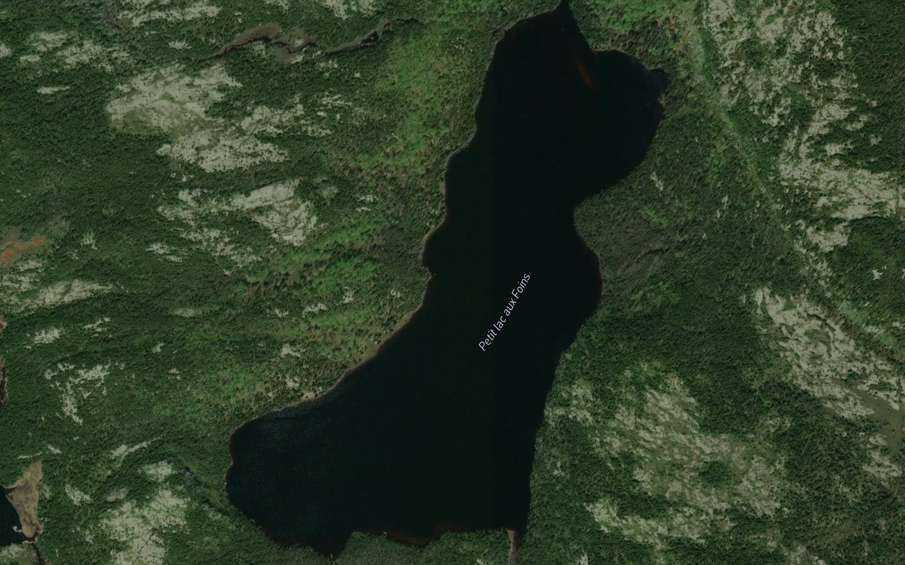 Satellite map of the Petit lac aux Foins