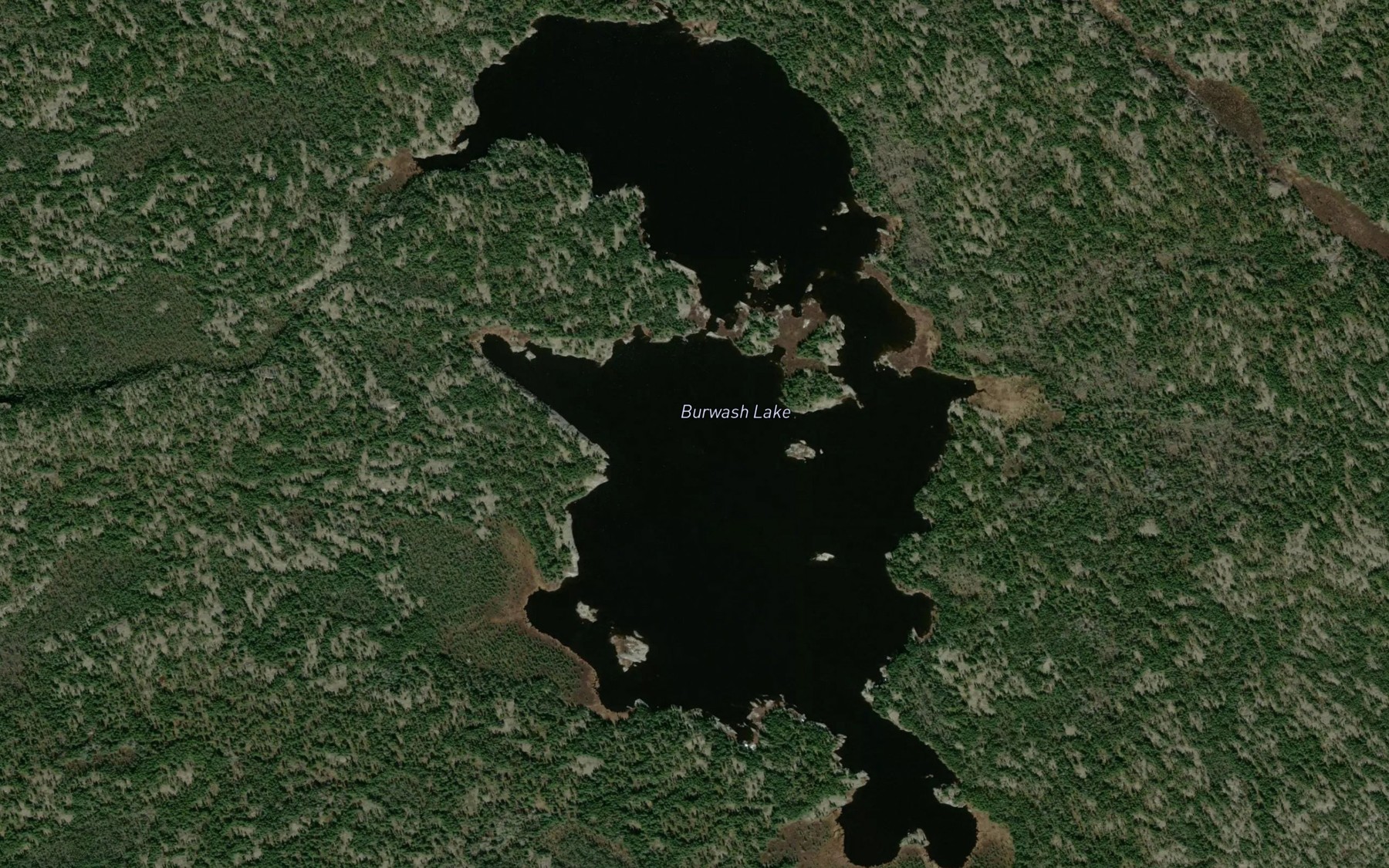 Satellite map of the Burwash Lake