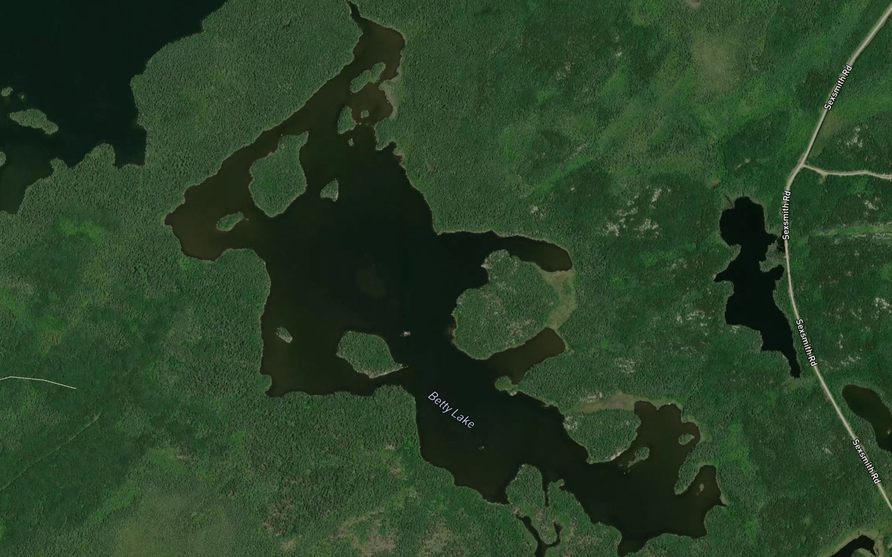 Satellite map of the Betty Lake