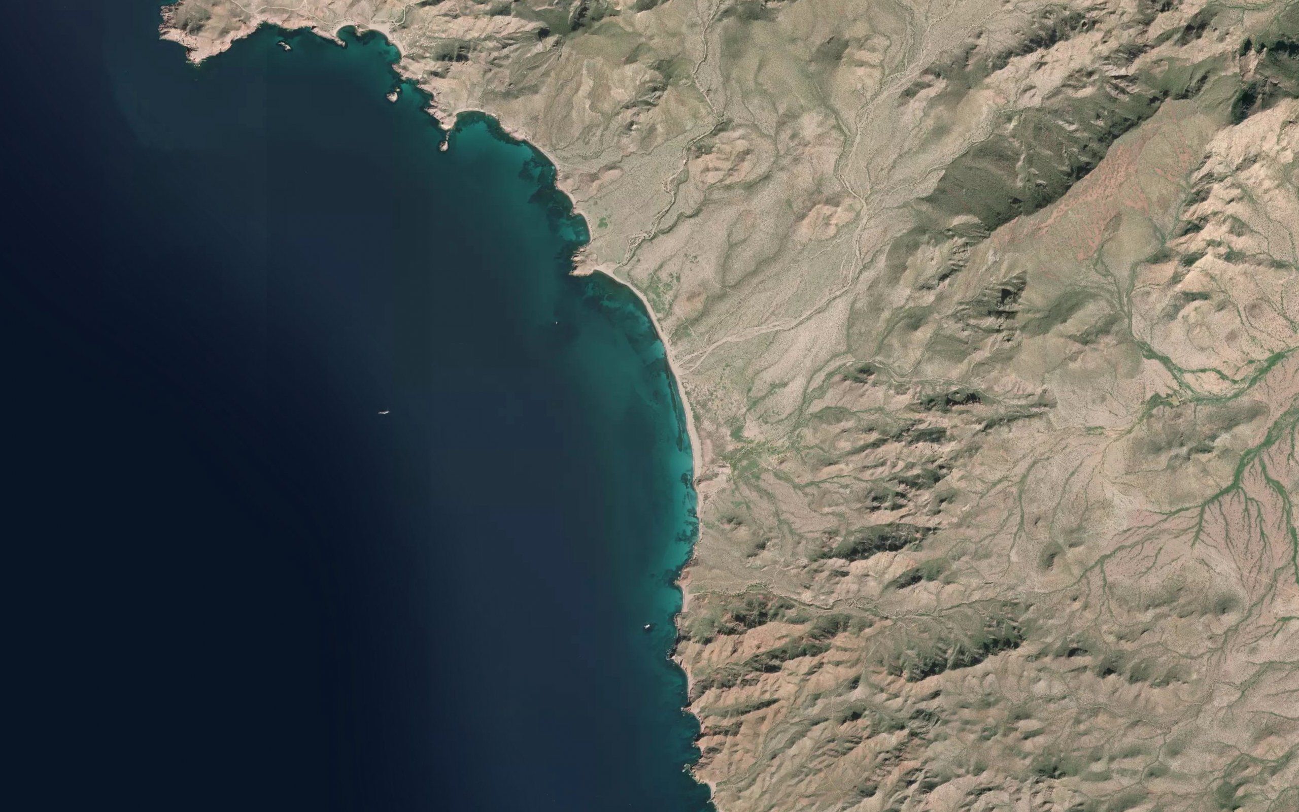 Bahia Jojoval