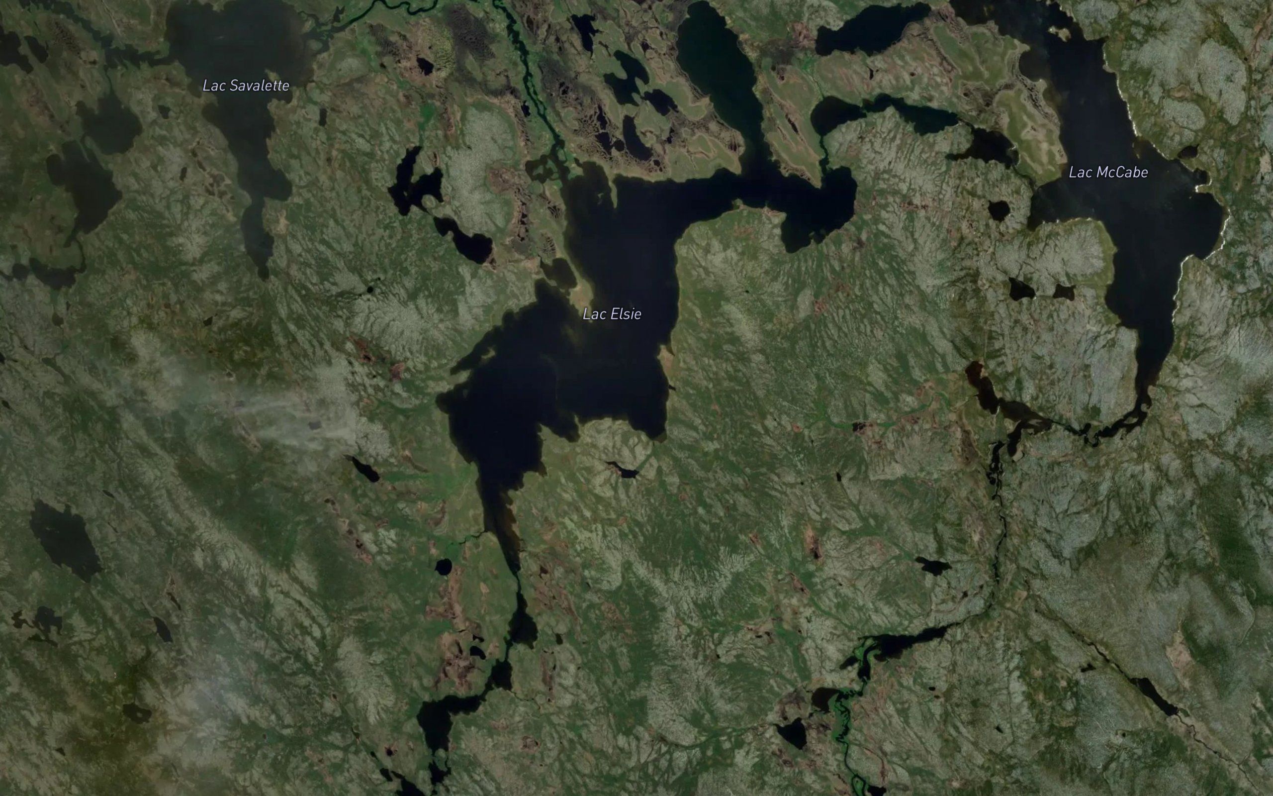 Lac Elsie