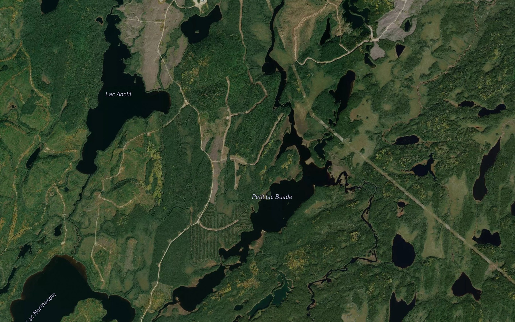 Satellite map of the Petit lac Buade