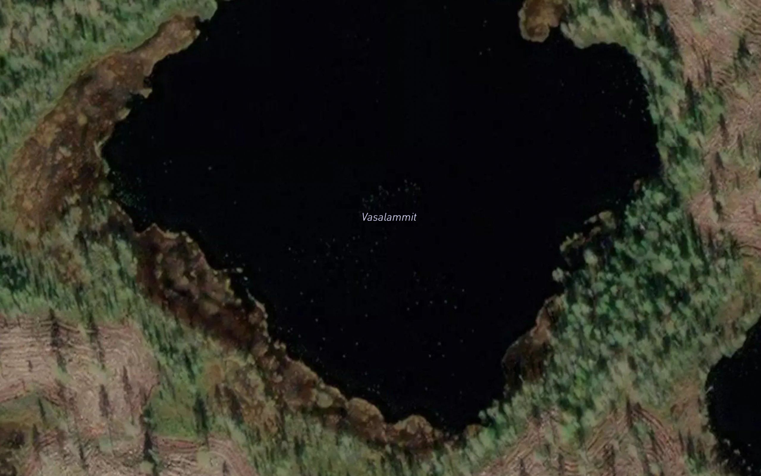 Vasalammit