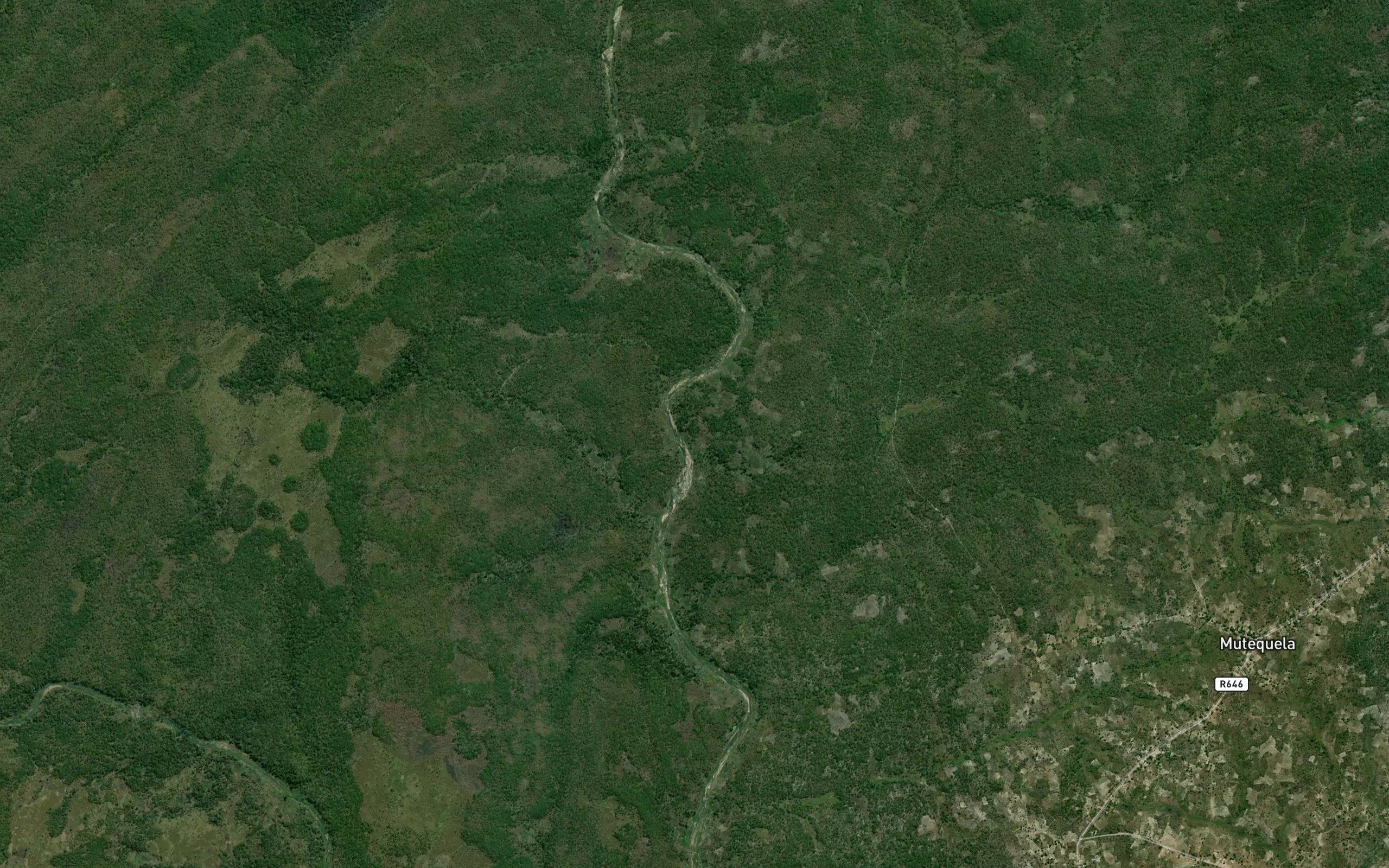 Machauene