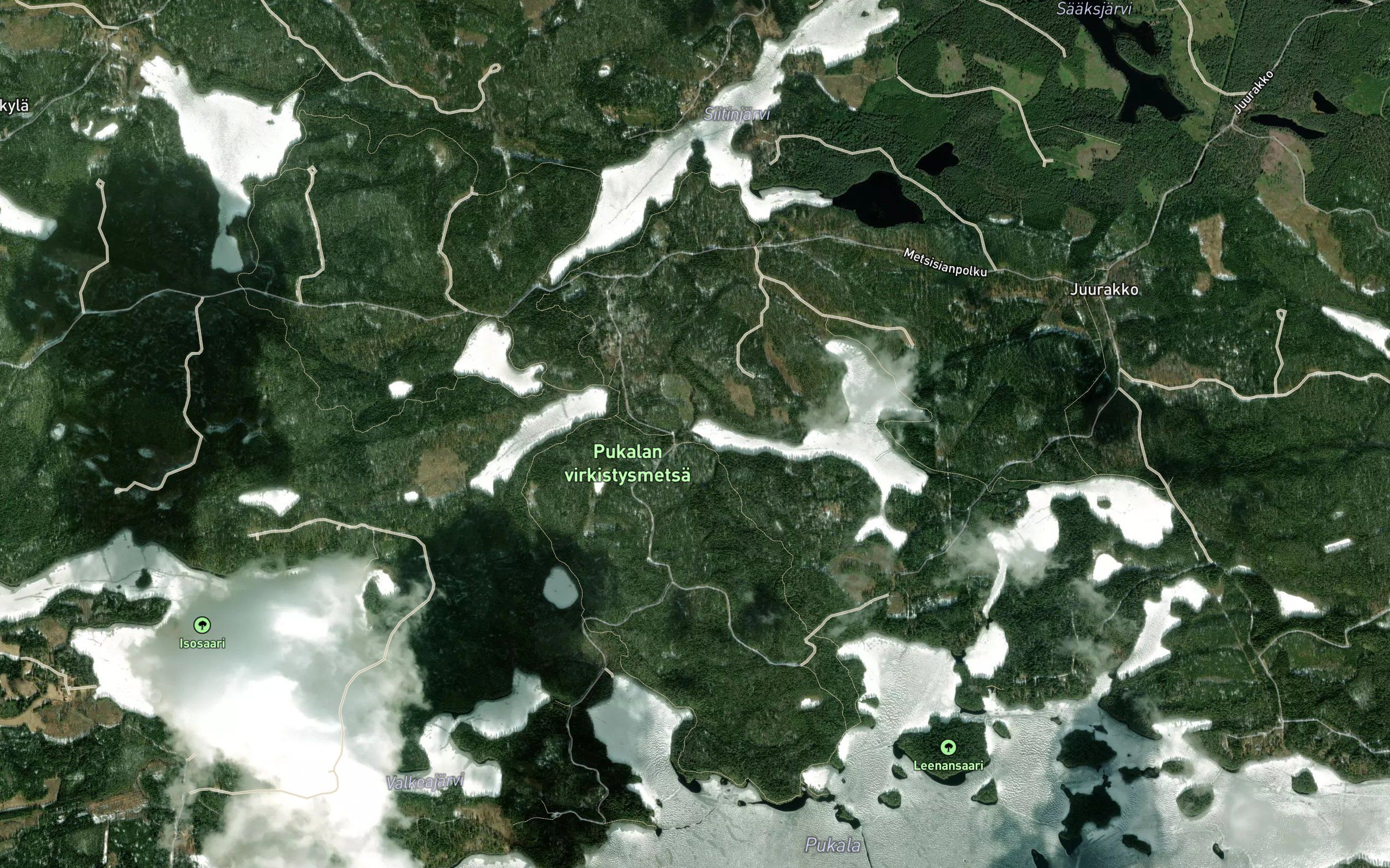 Rasinoja