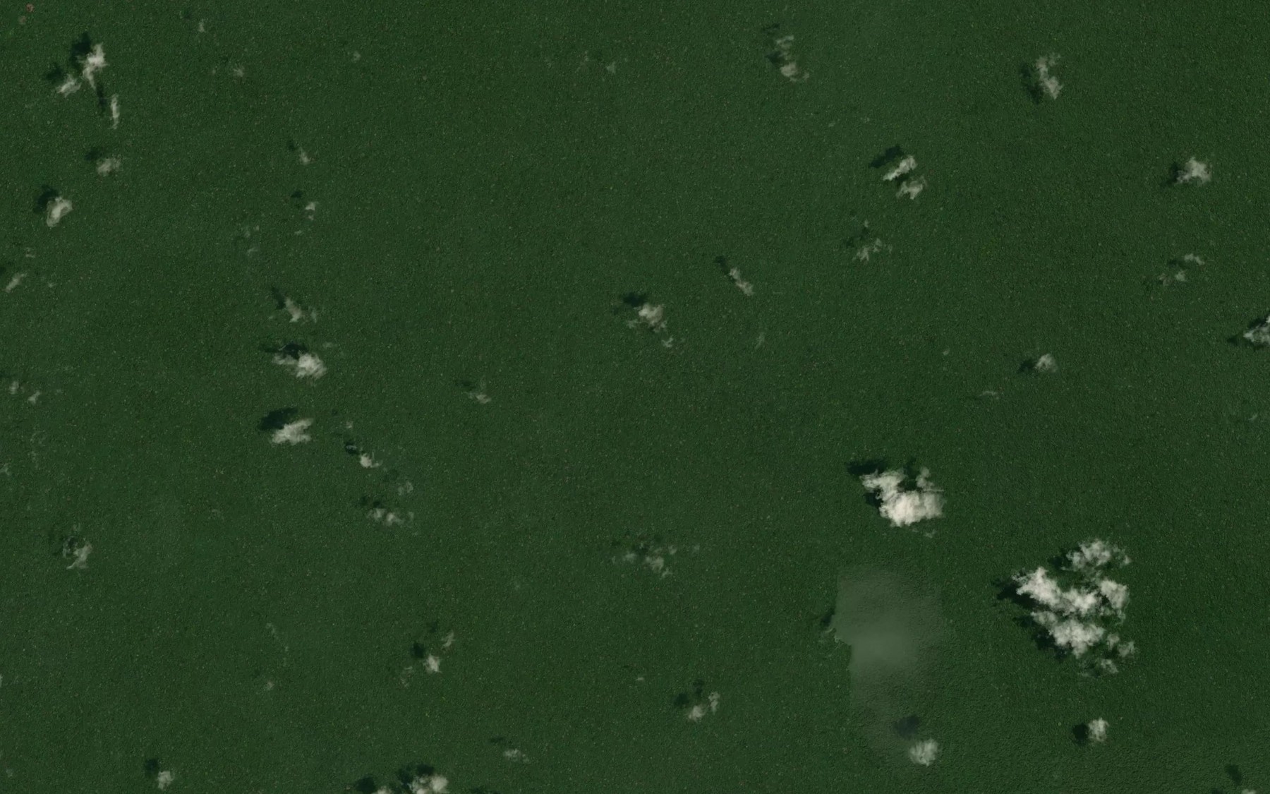 Satellite map of the Igarape Tigre