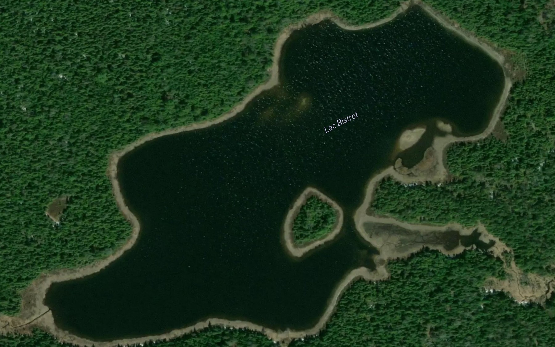 Satellite map of the Lac Bistrot