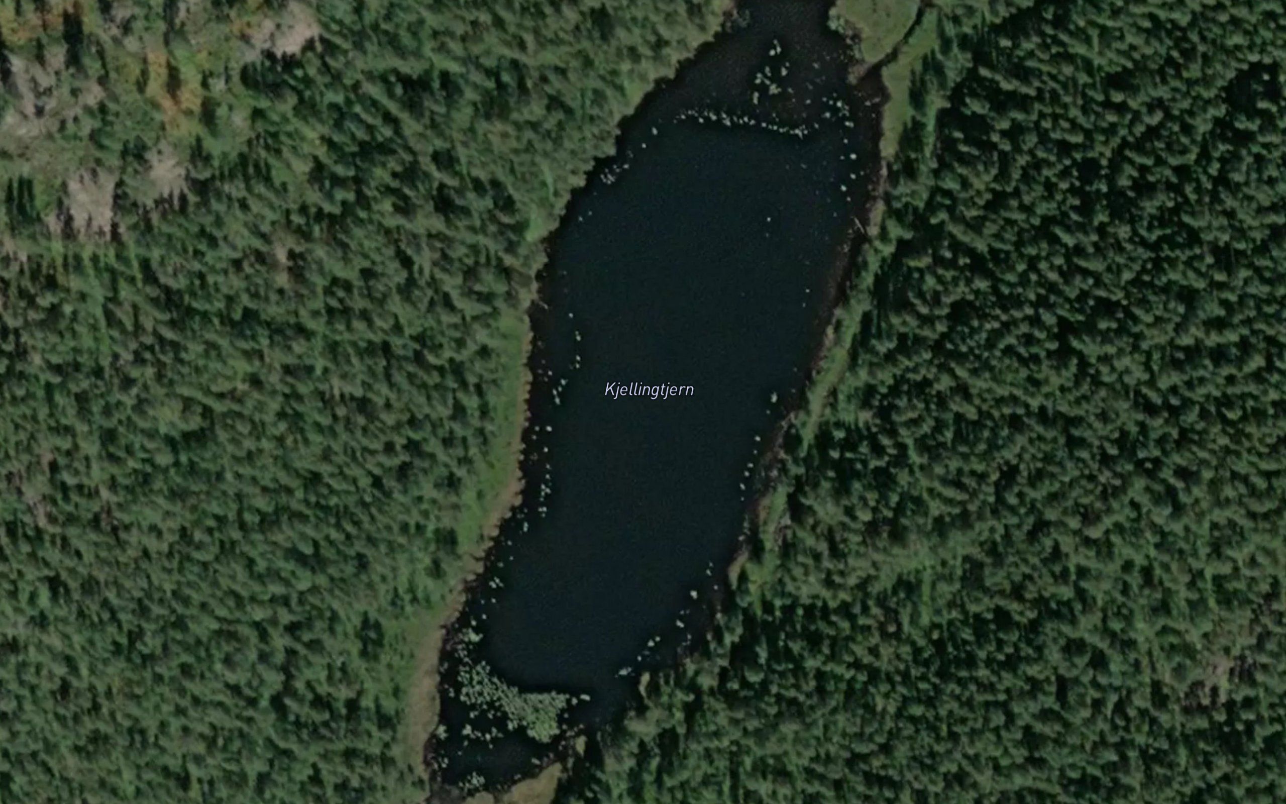 Kjellingtjenn