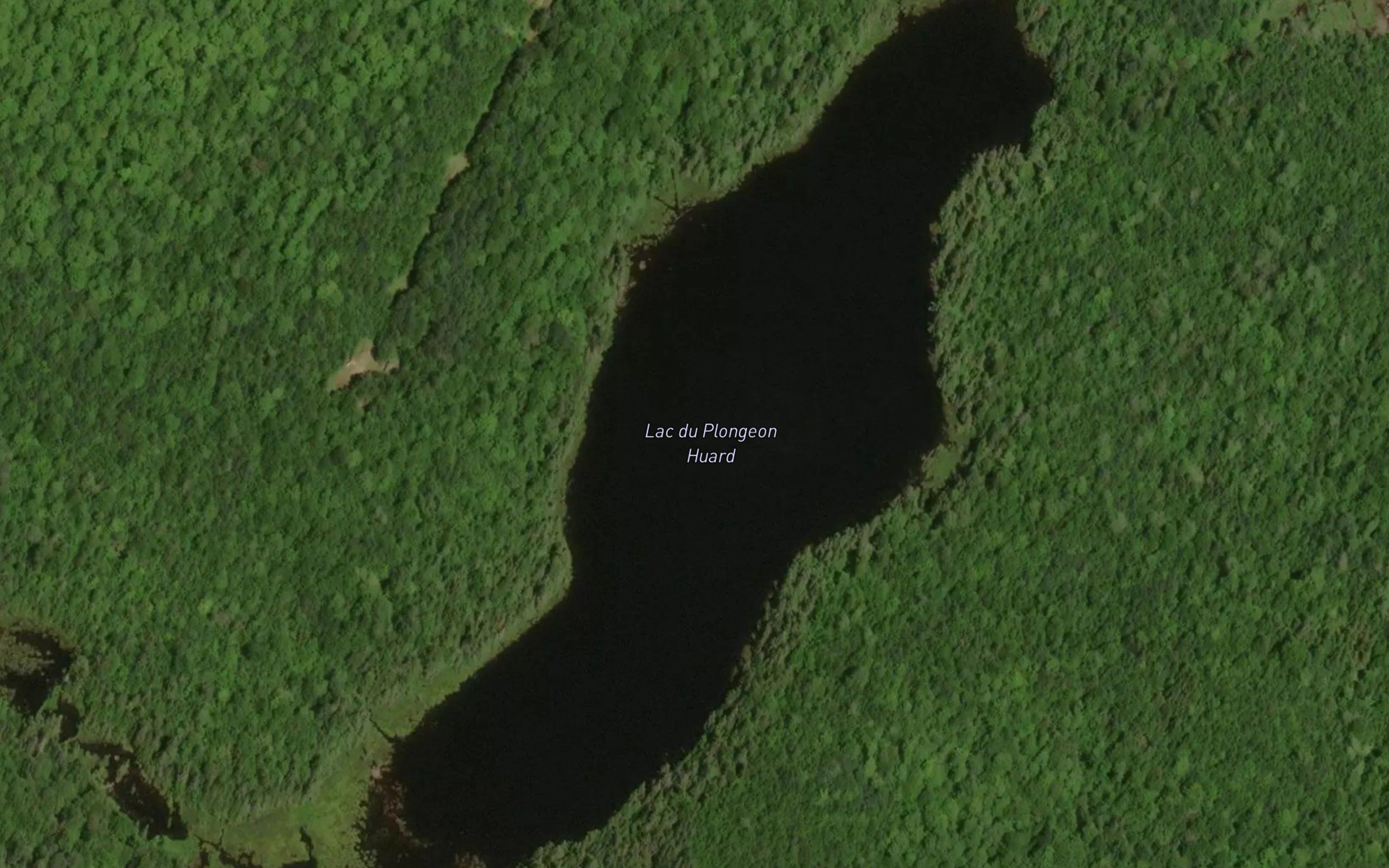 Lac du Plongeon Huard