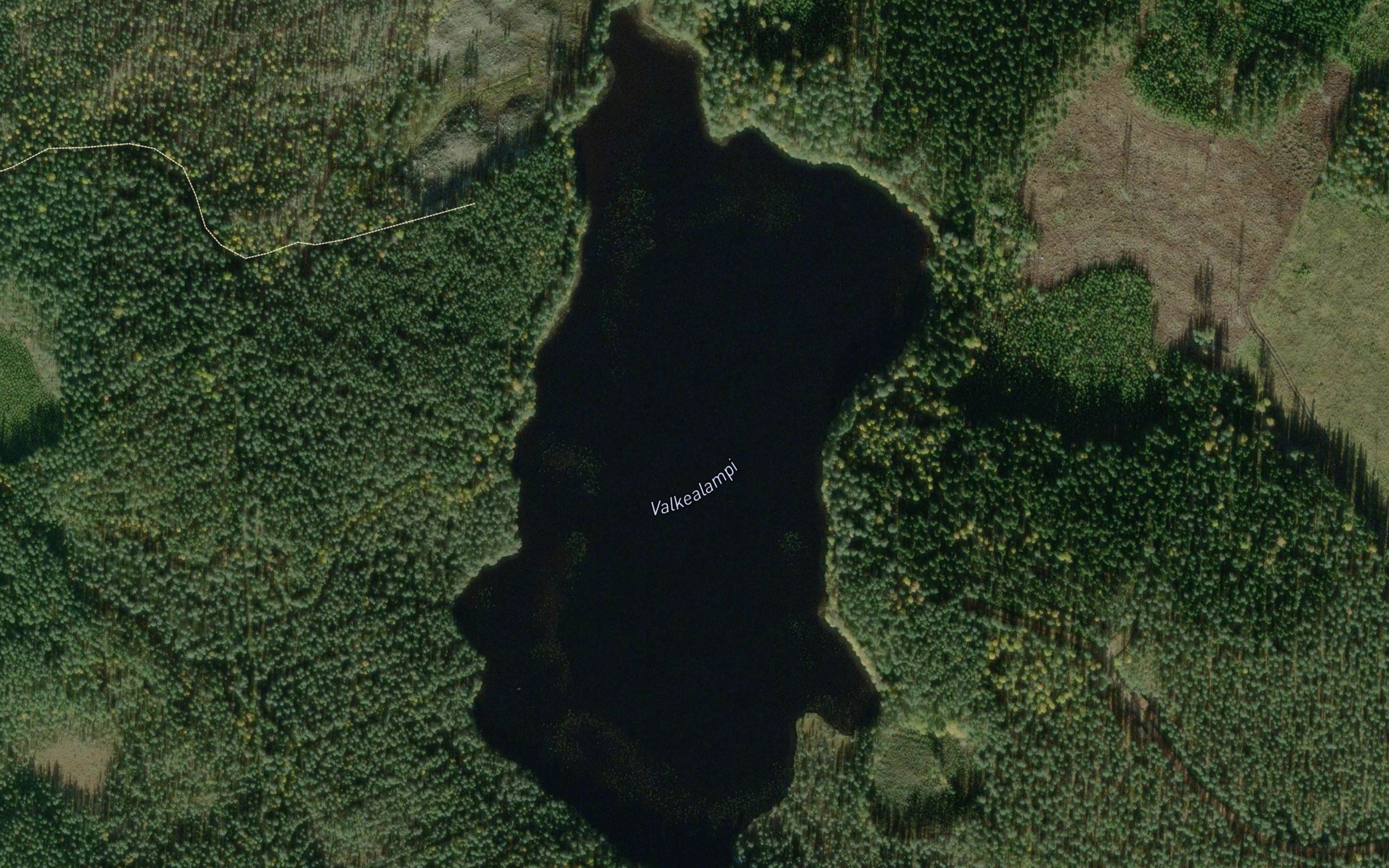 Valkealampi