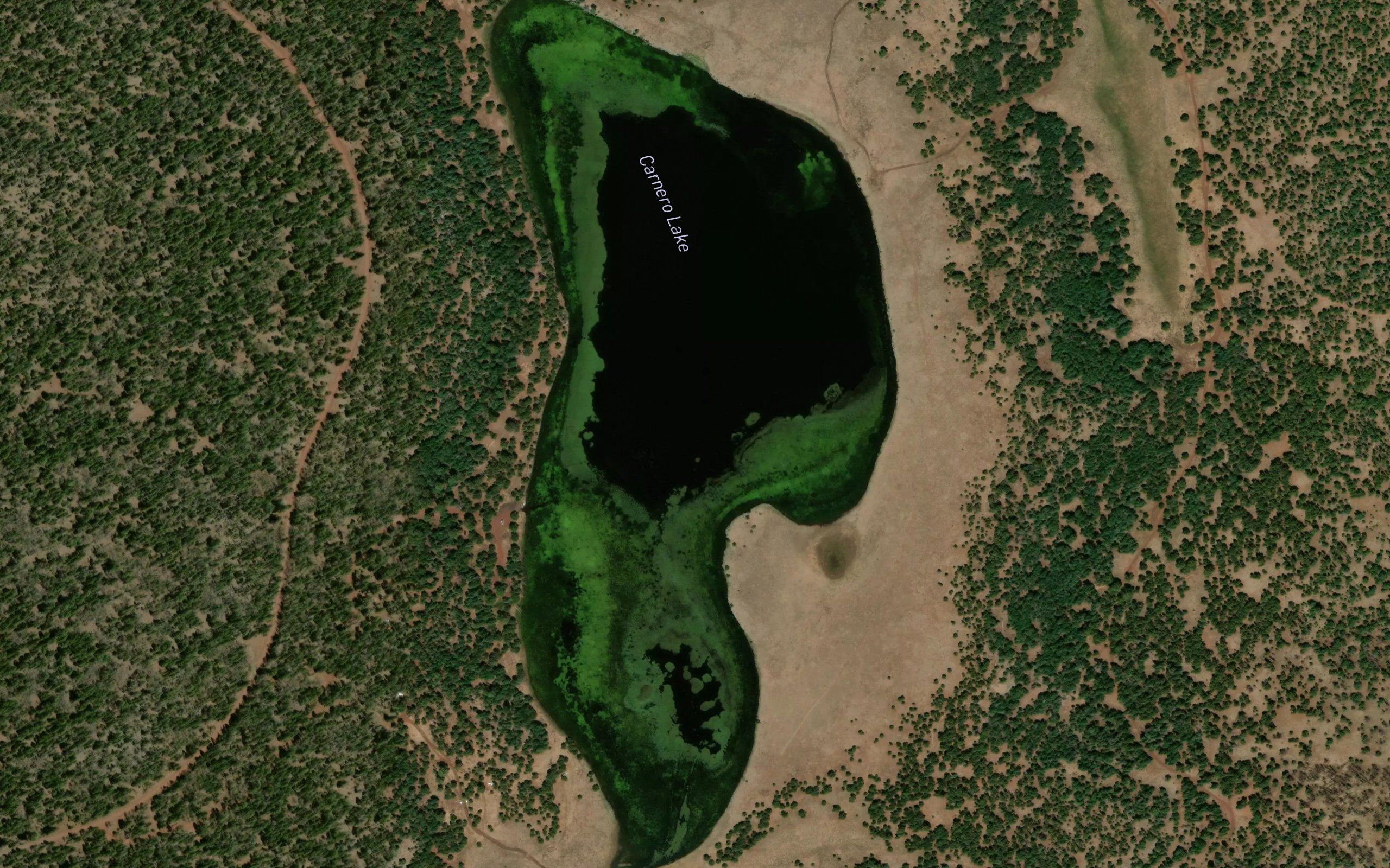 Carnero Lake