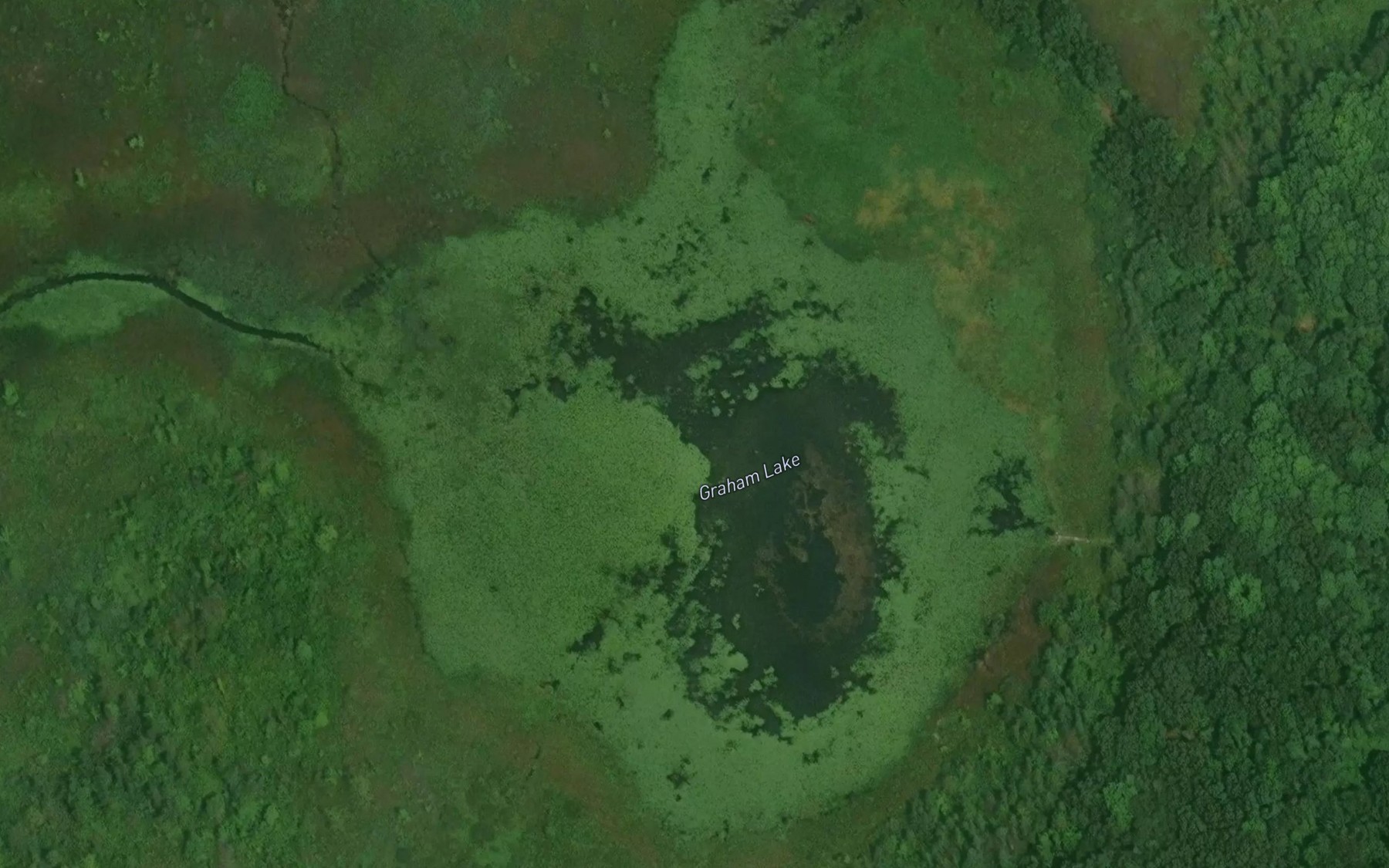 Satellite map of the Graham Lake