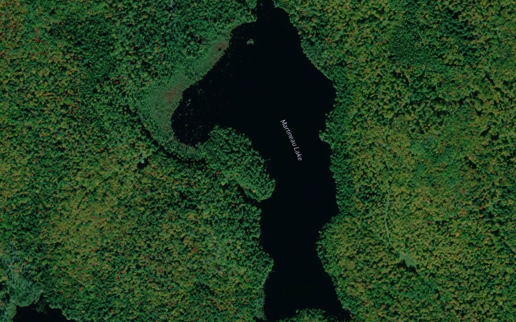Satellite map of the Martineau Lake