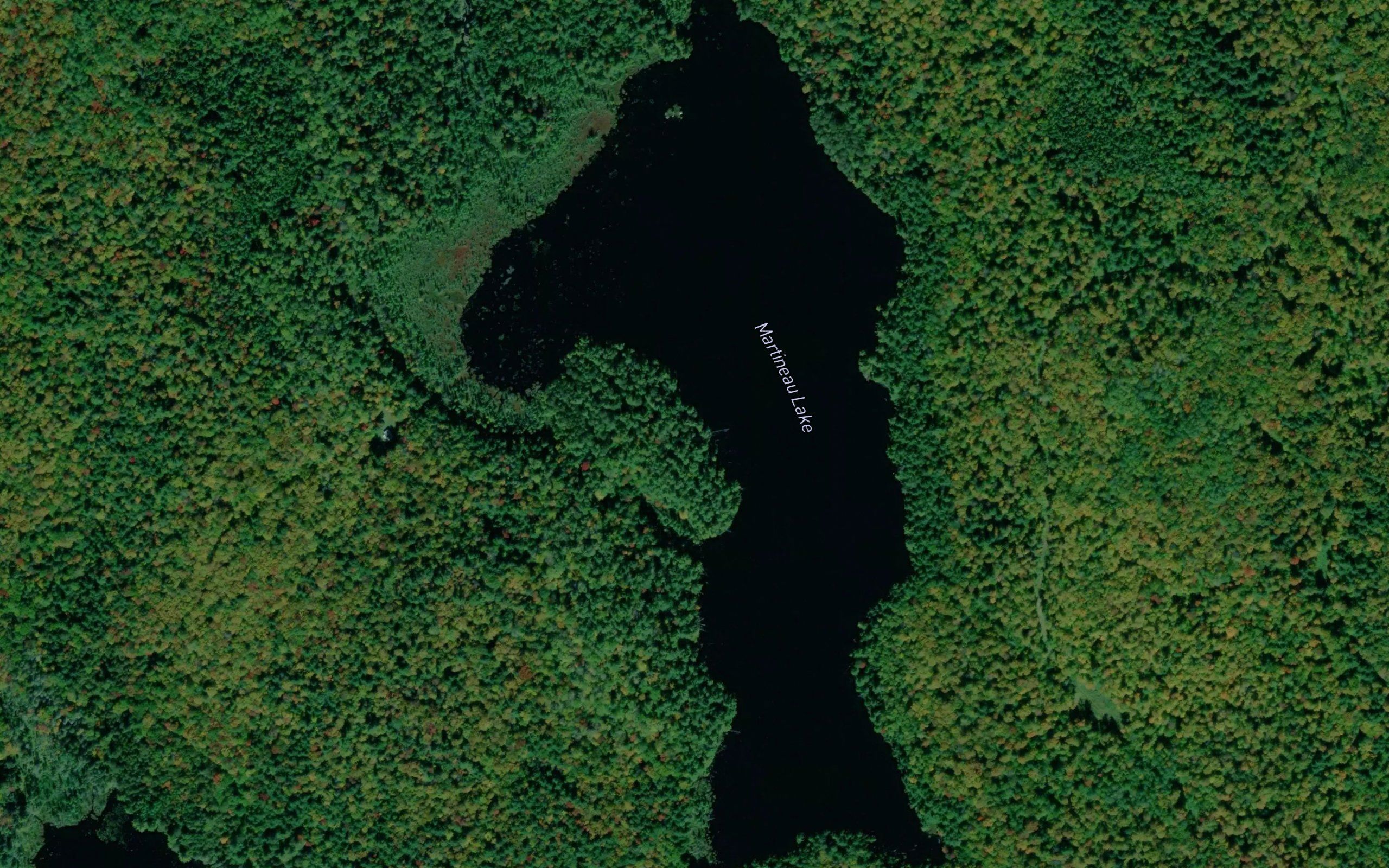 Martineau Lake